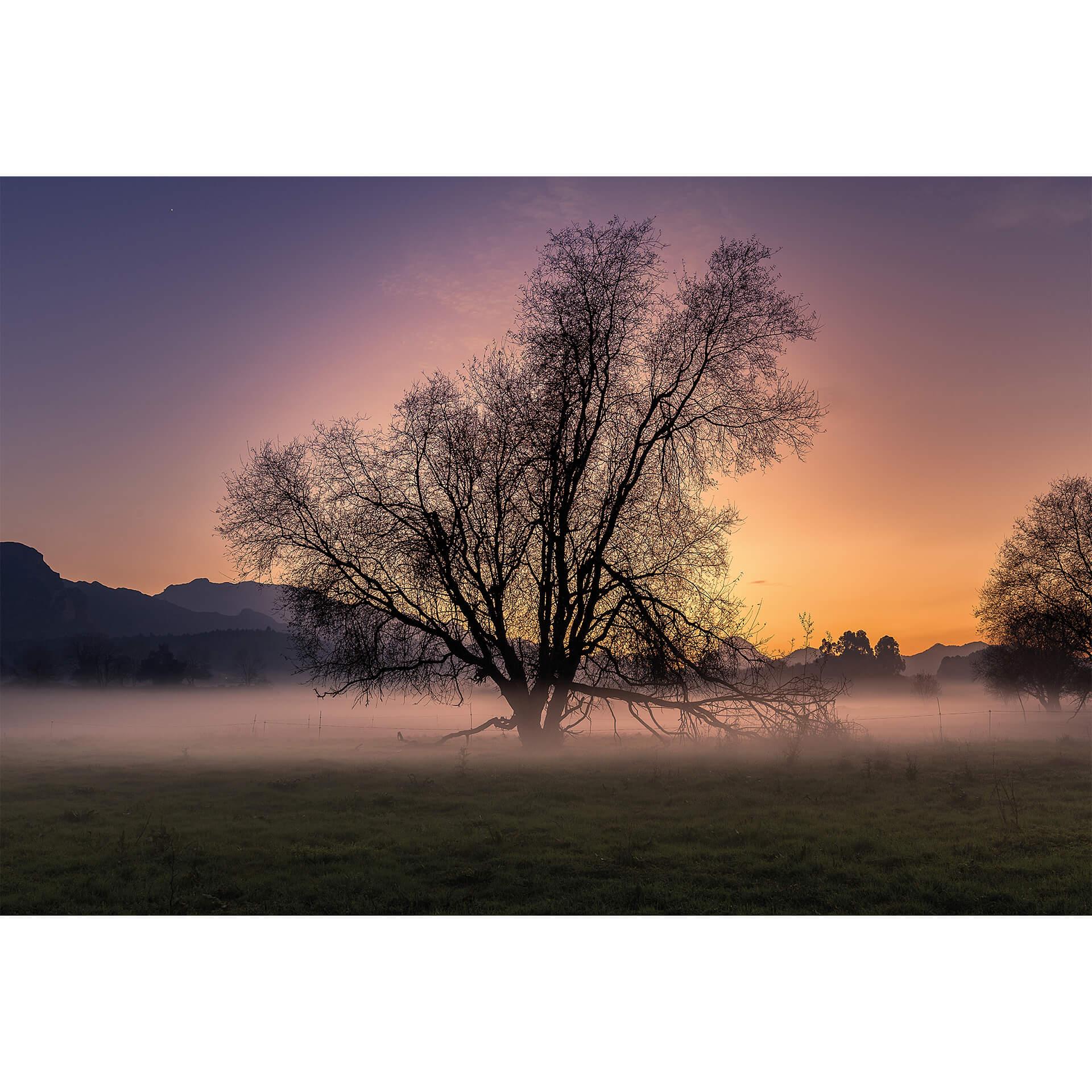 Fotobehang Cuadrado - The Fog