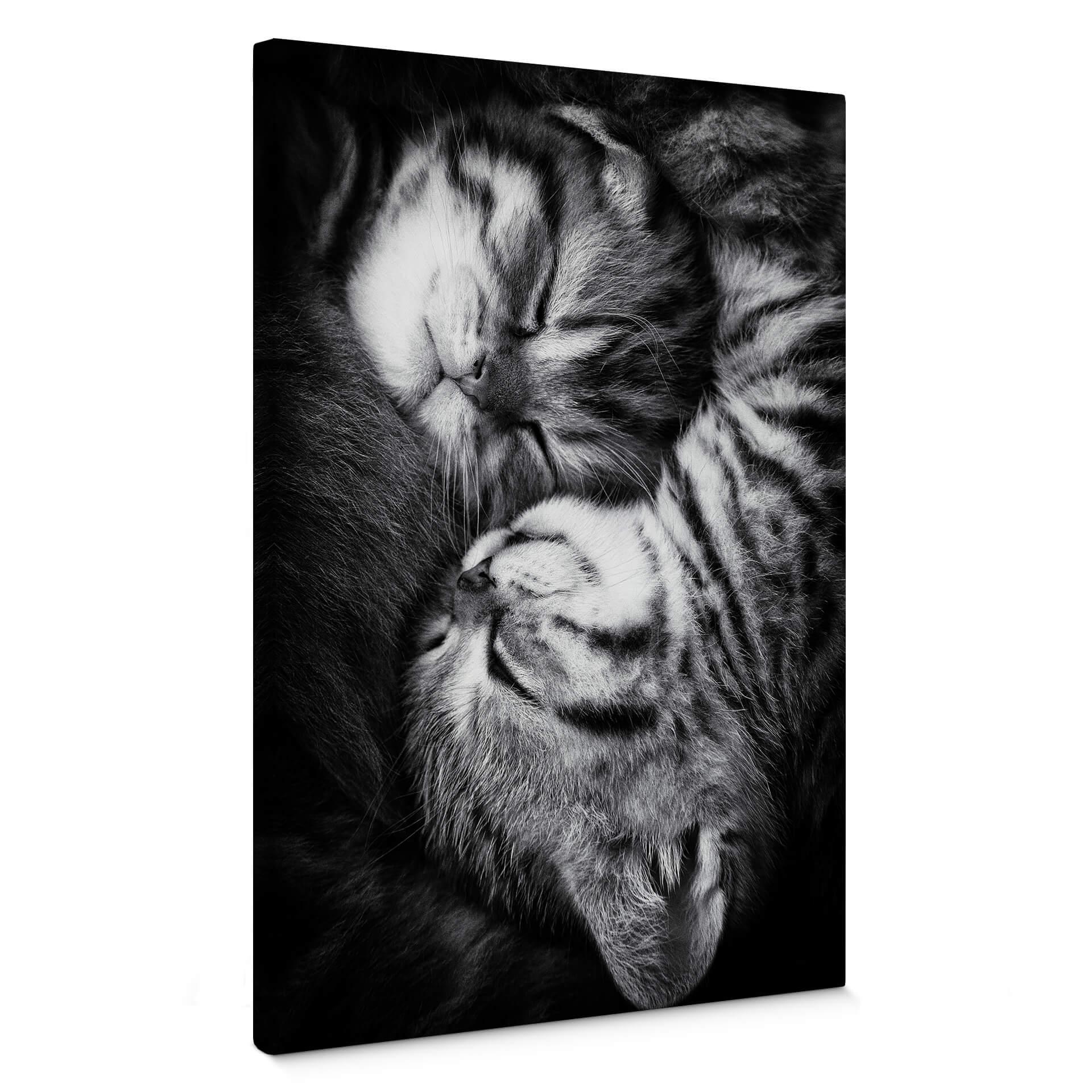 Canvasbillede - Jancova - Sweet Kitten