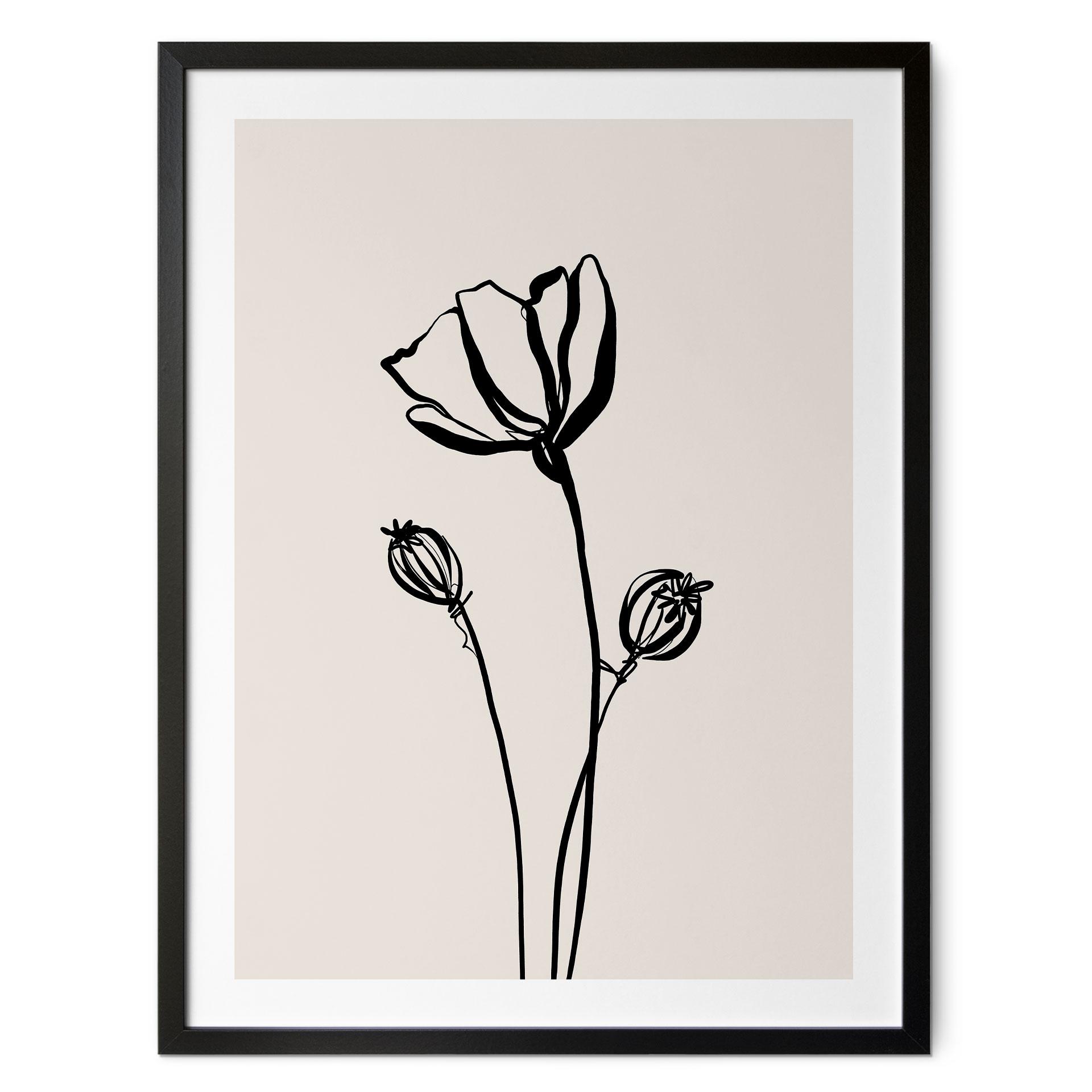 Plakat Line Art Poppy - Cats & Dotz