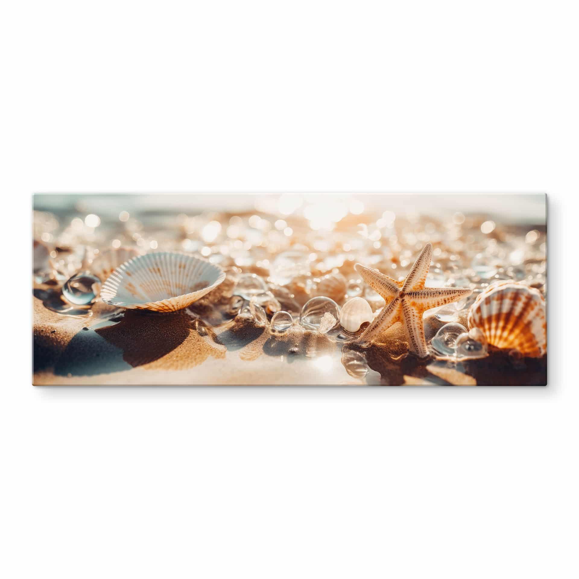 Glasbillede - Maritime - Skaller på en solrig strand - Treechild - Panorama