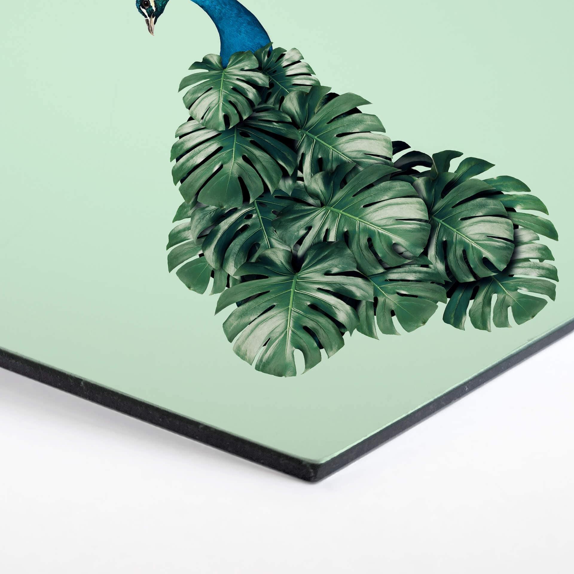Hexagon - Alu-Dibond Loose - Monstera Bird