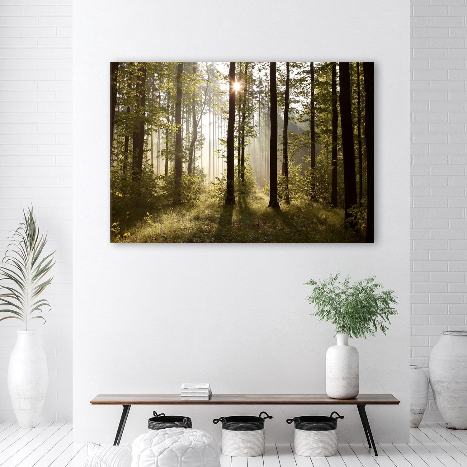 Canvasbillede, Morgen i skoven