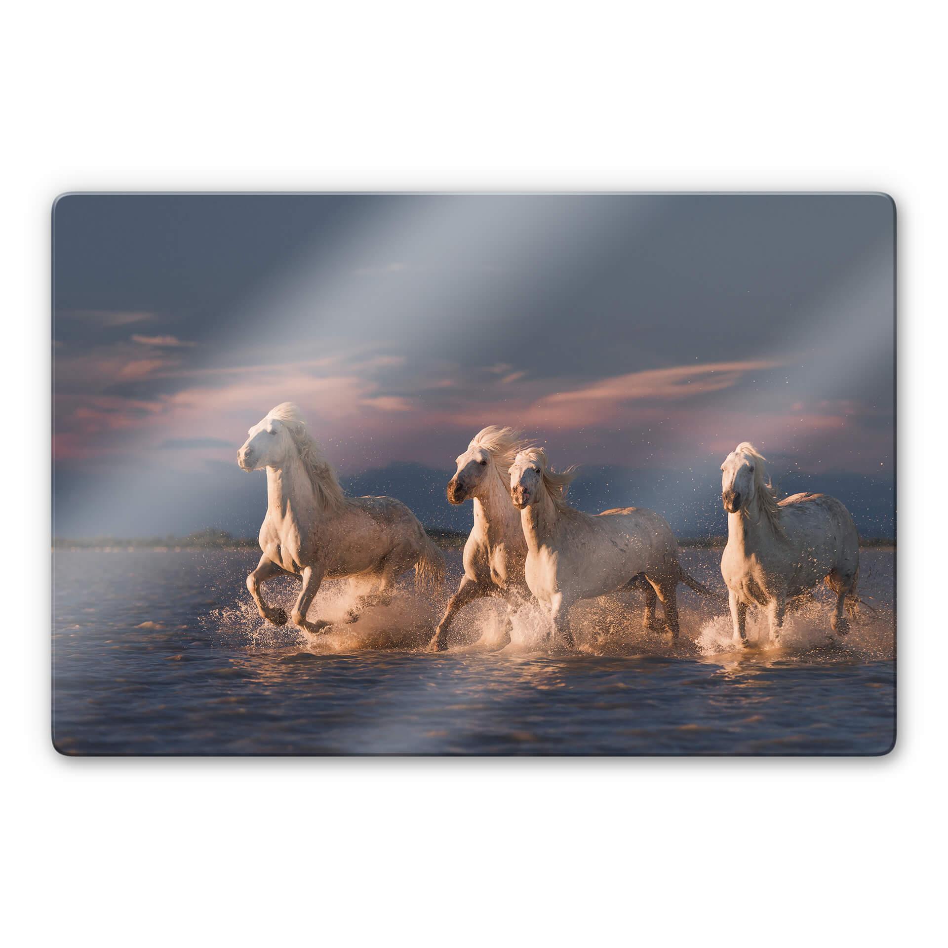 Glasschilderij Rostovskiy - Angels of Camargue