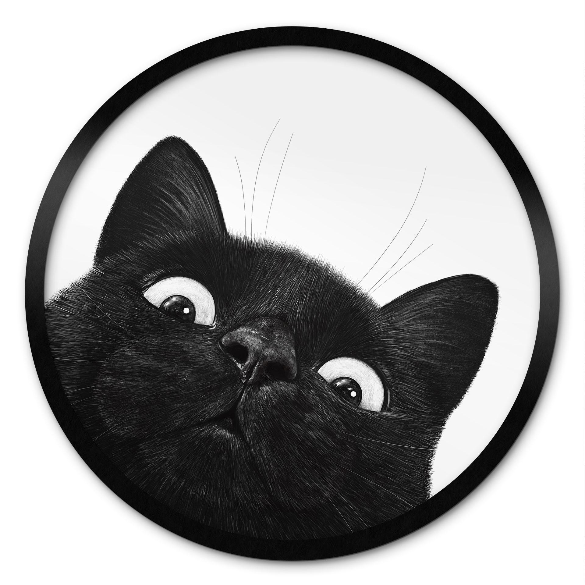 Poster Rolig svart katt - Korenkova - Rund