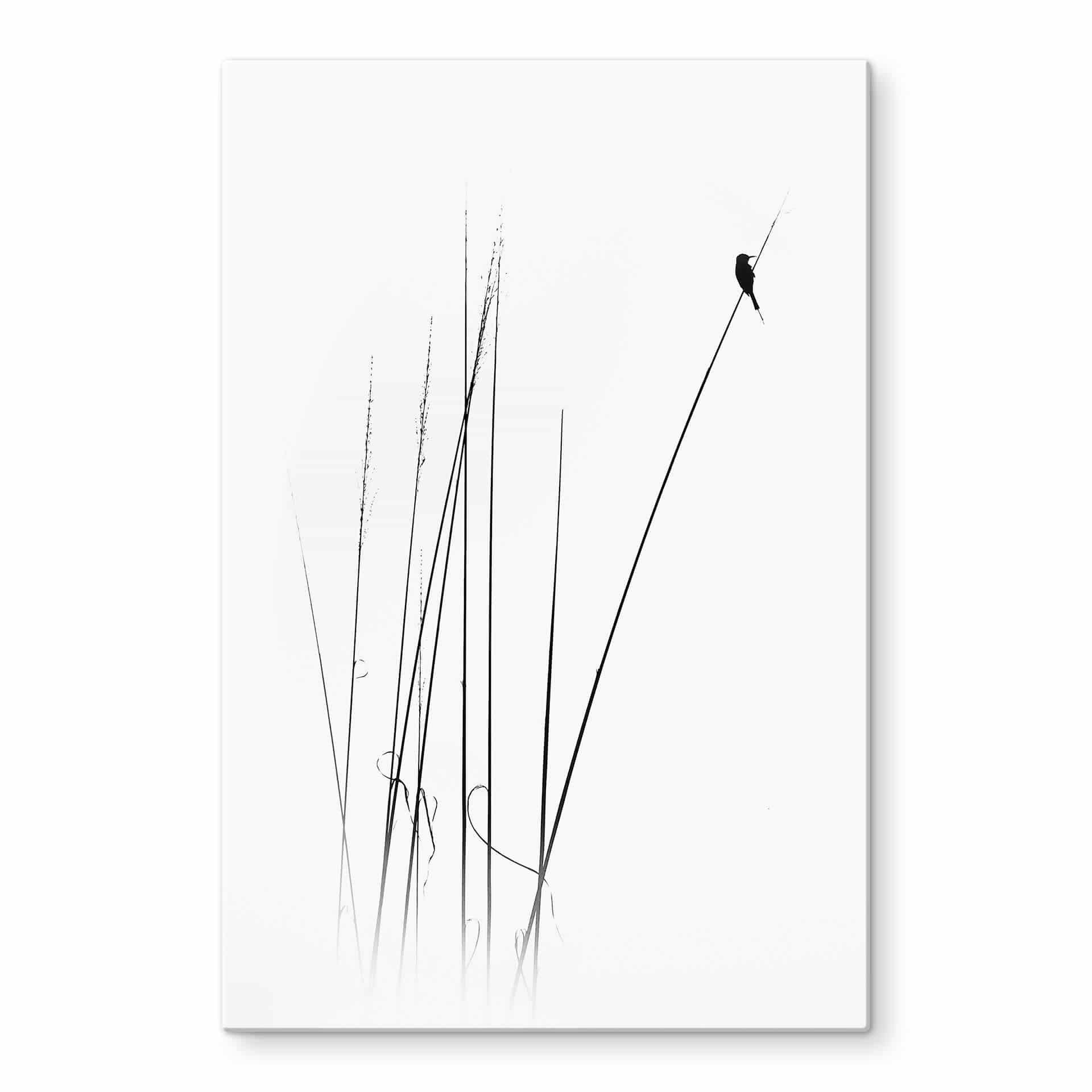 Glasschilderij - Swapnil - Time Out