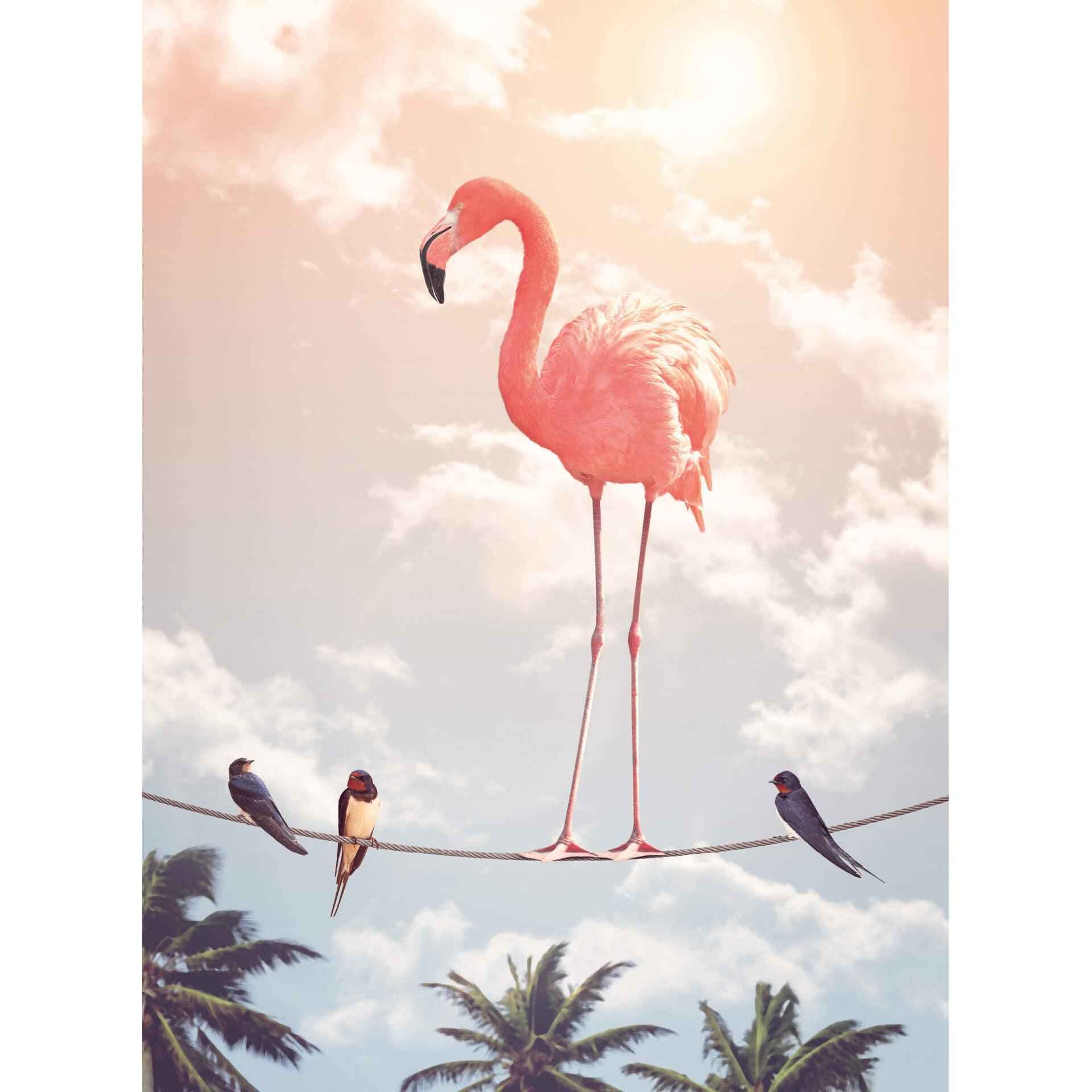 Fotobehang Loose - Flamingo and Friends
