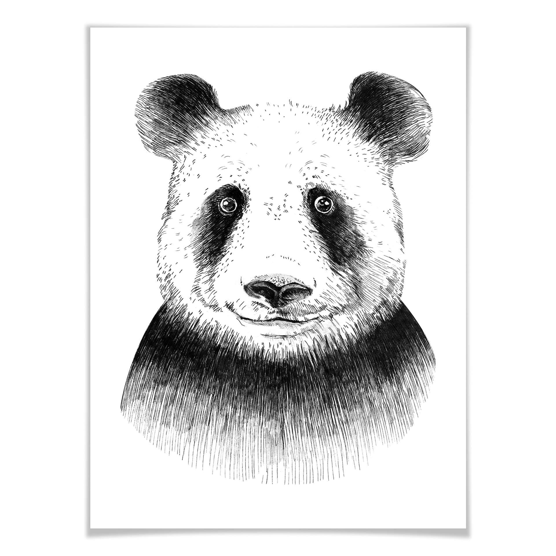 Póster Kvilis - Oso panda
