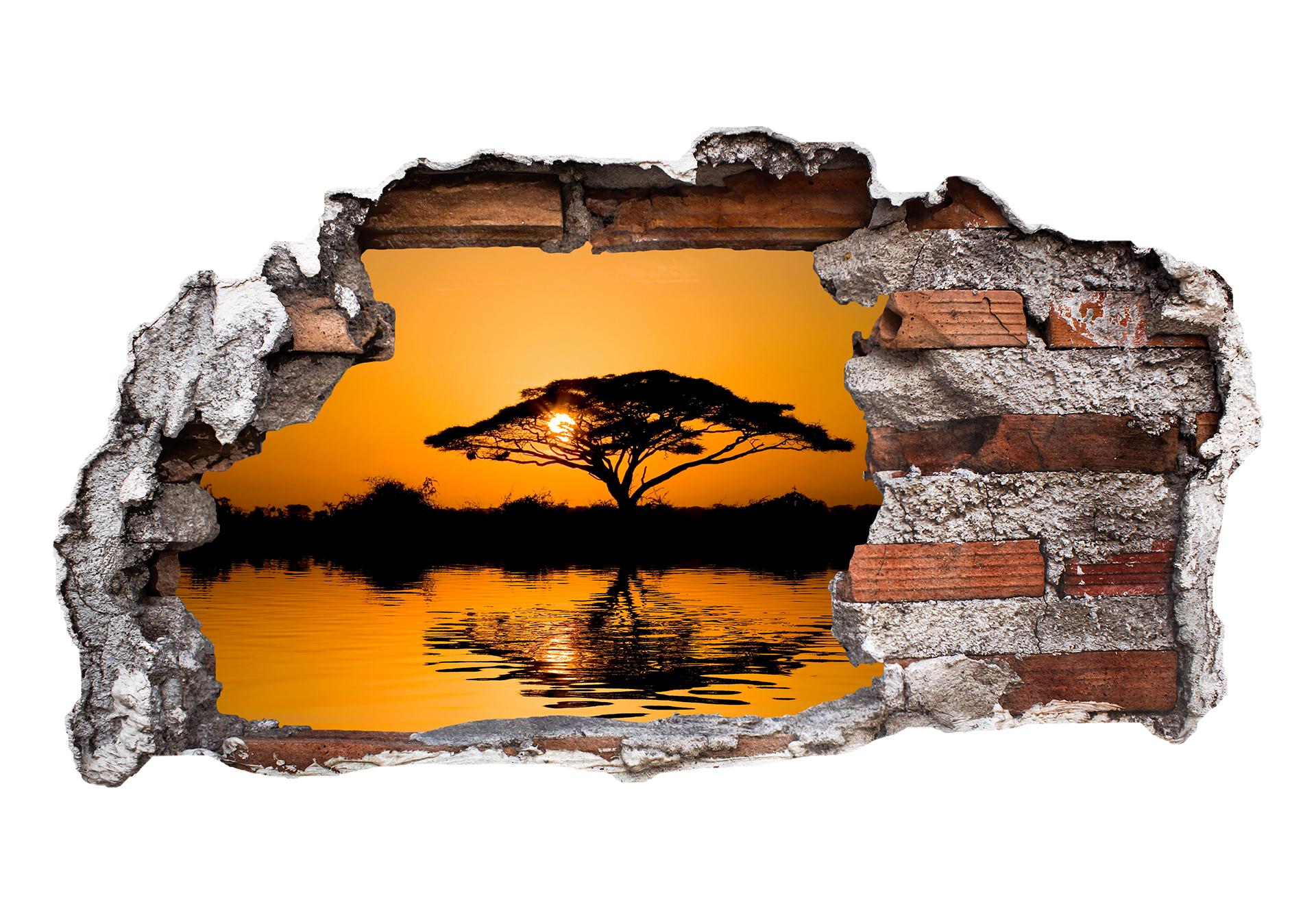 3D Wandtattoo Afrika