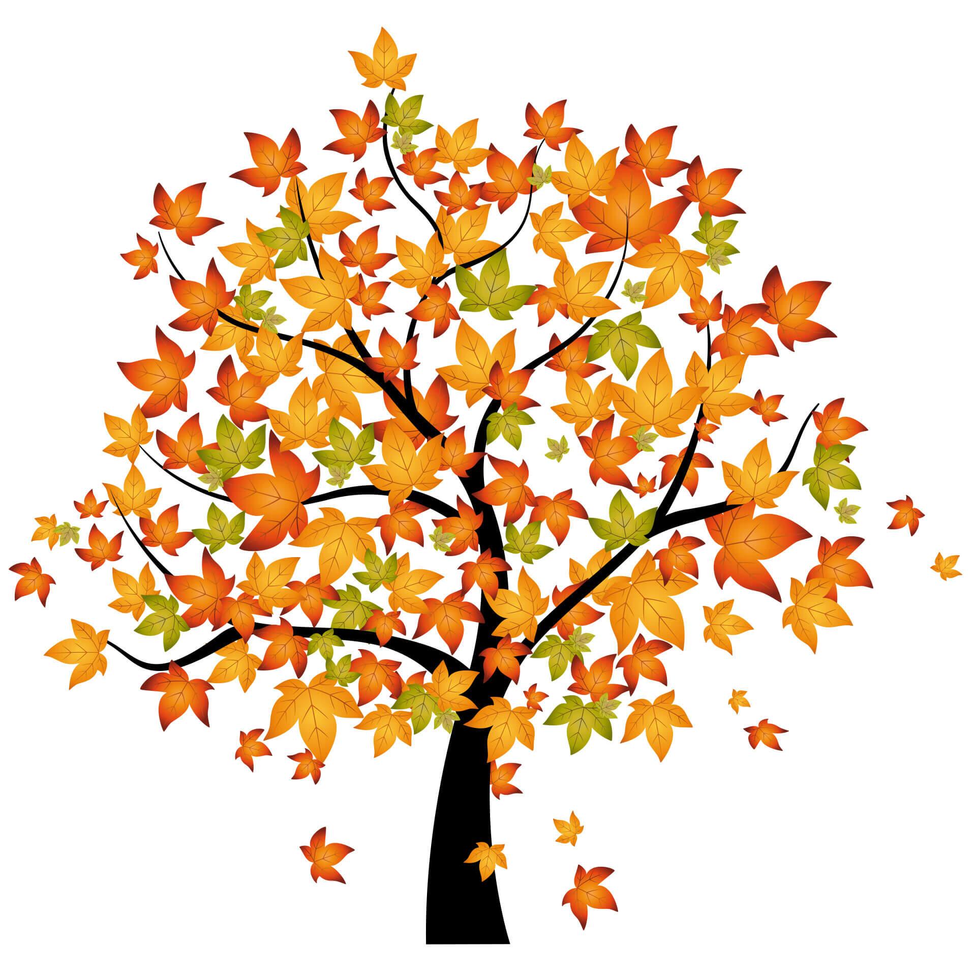 Muursticker Herfstboom 1