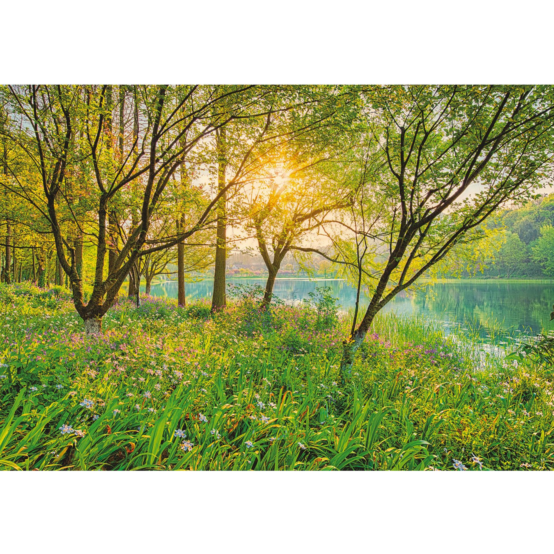 Fotobehang Papierbehang Spring Lake