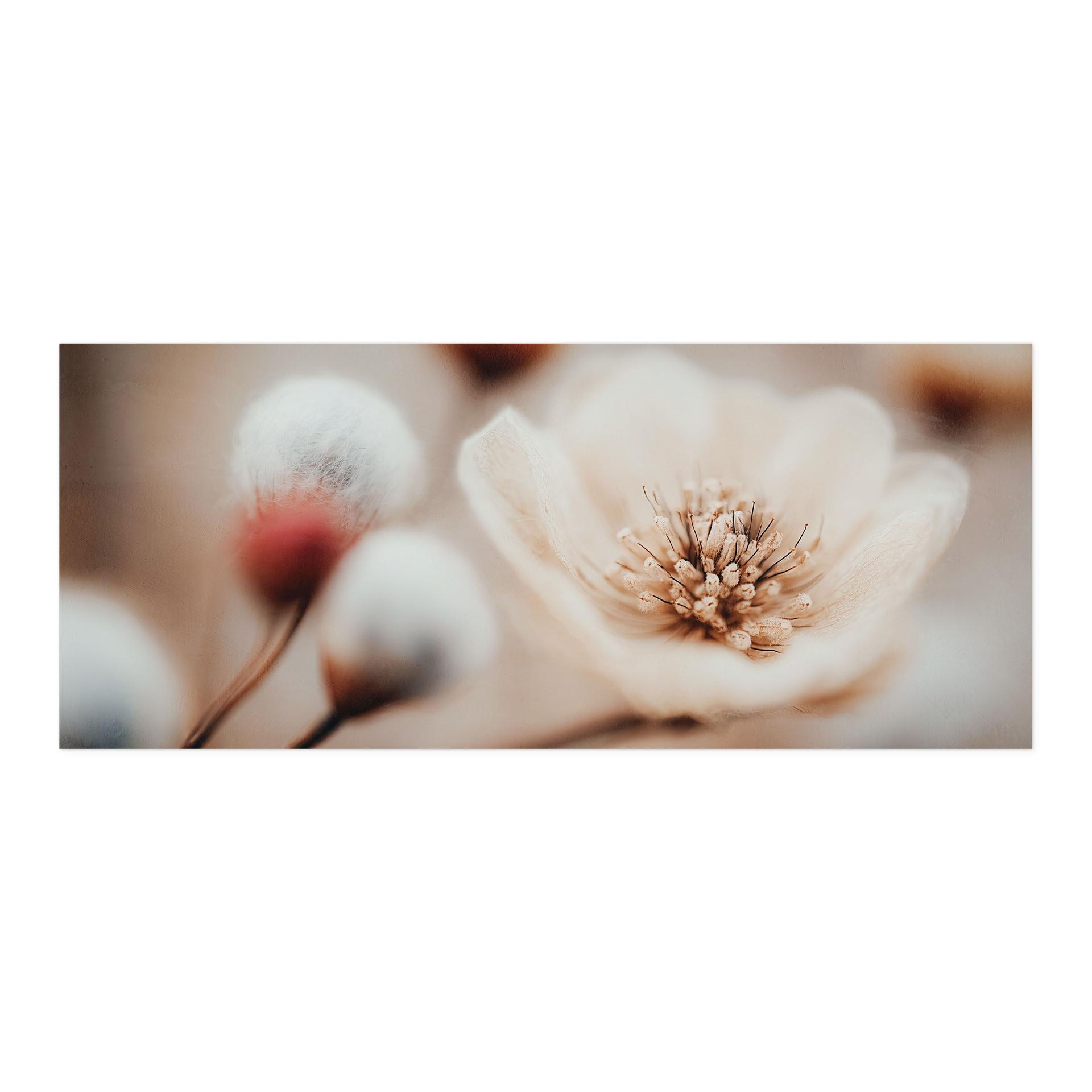 Selvklæbende stænkplade til køkken Boho Blossom Soft Beige - Treechild