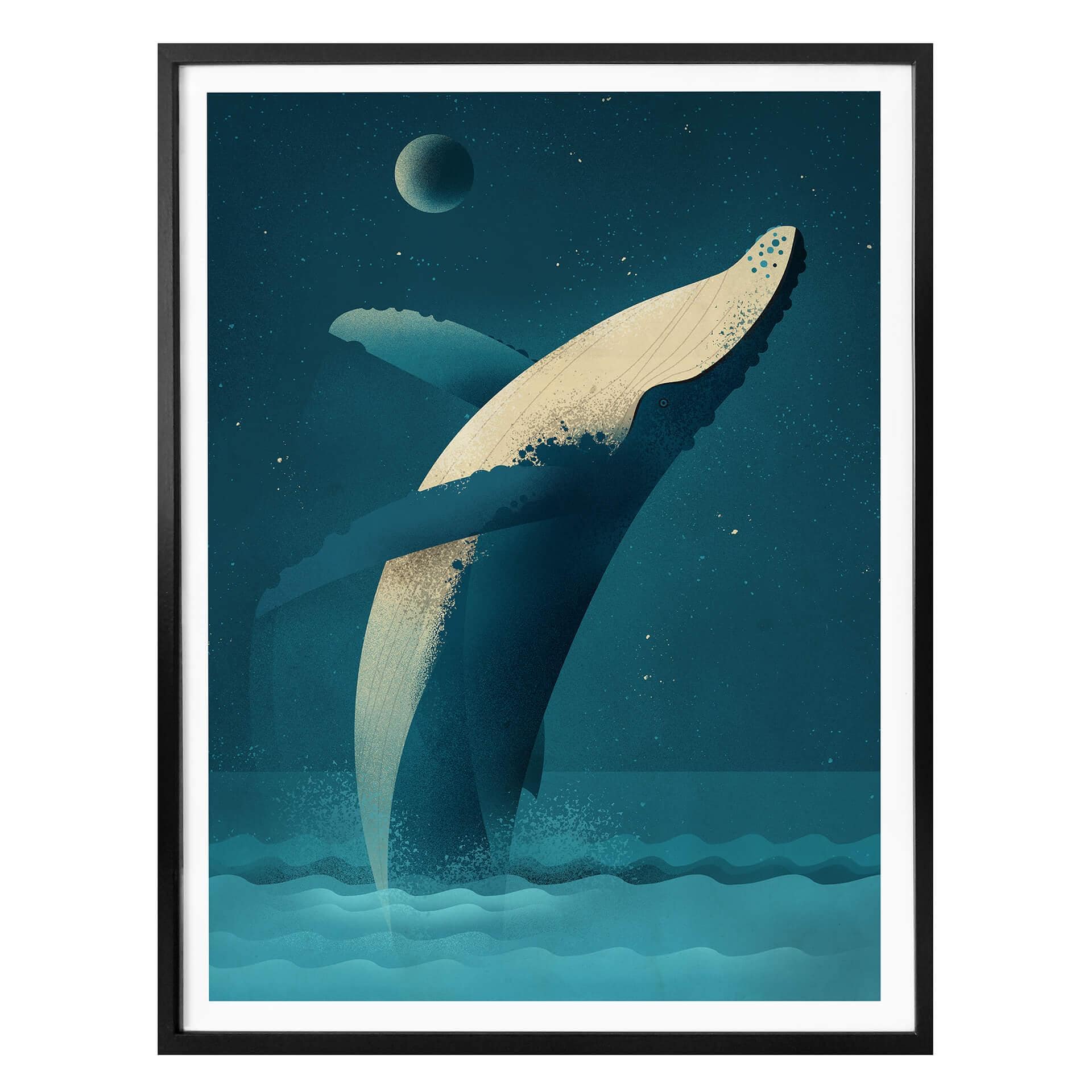 Plakat - Braun - Humpback Whale