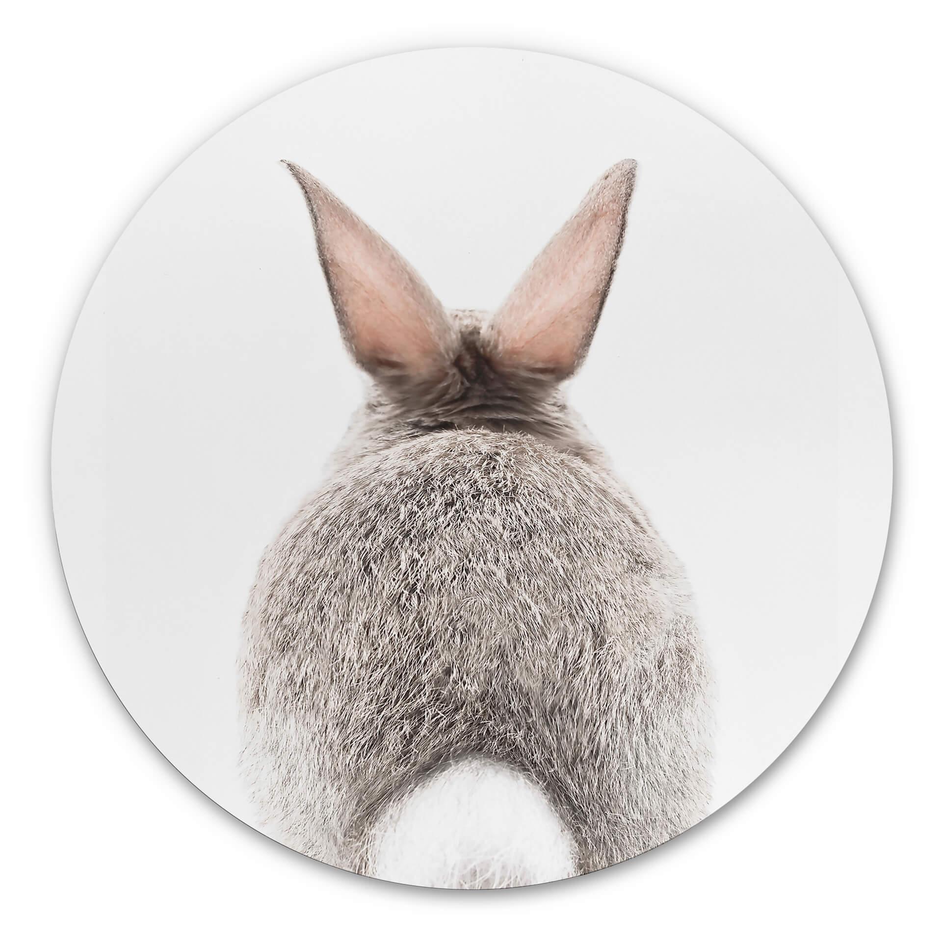 Tableau sur alu-Dibond rond Sisi & Seb - bas de lapin