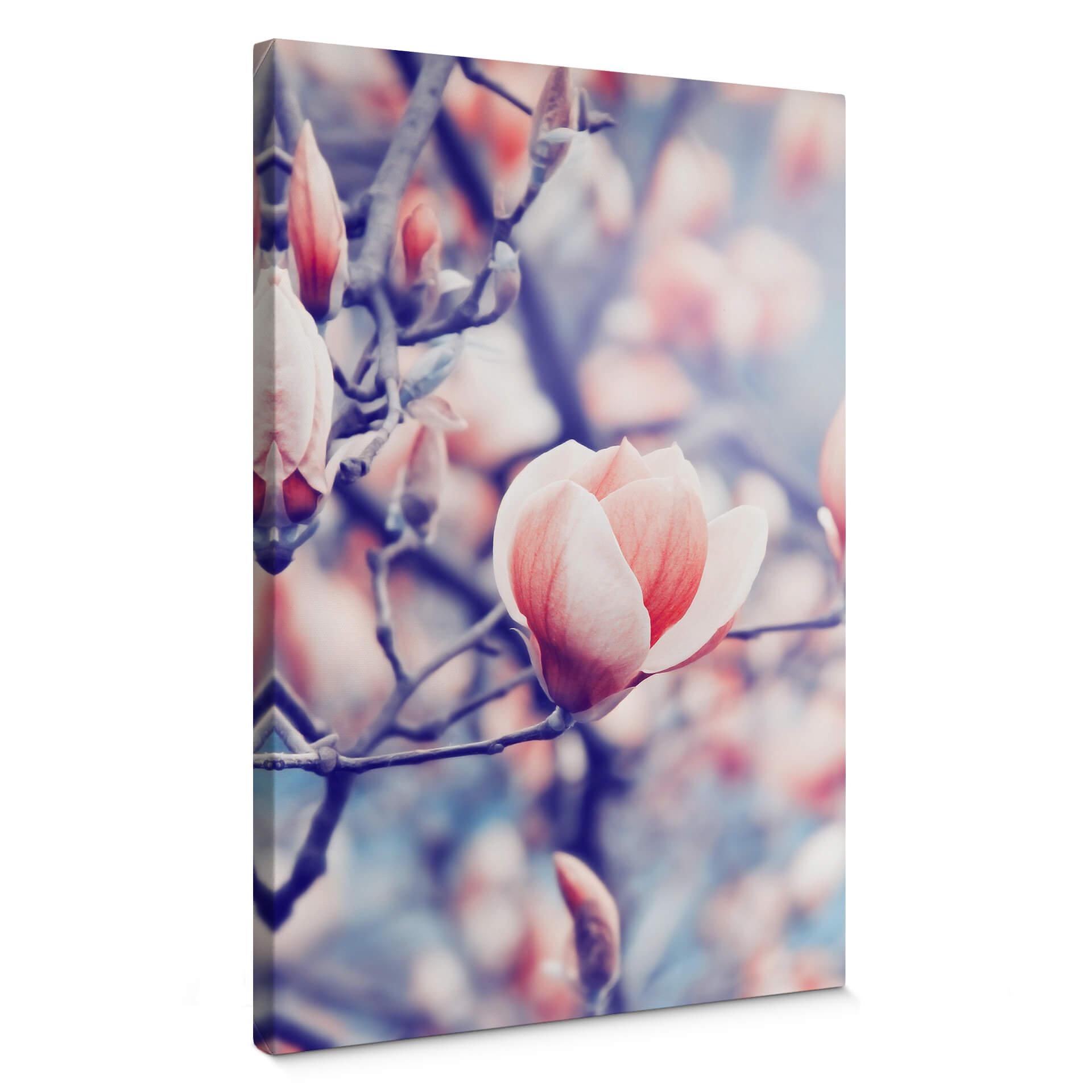 Cuadro lienzo Brote de magnolia
