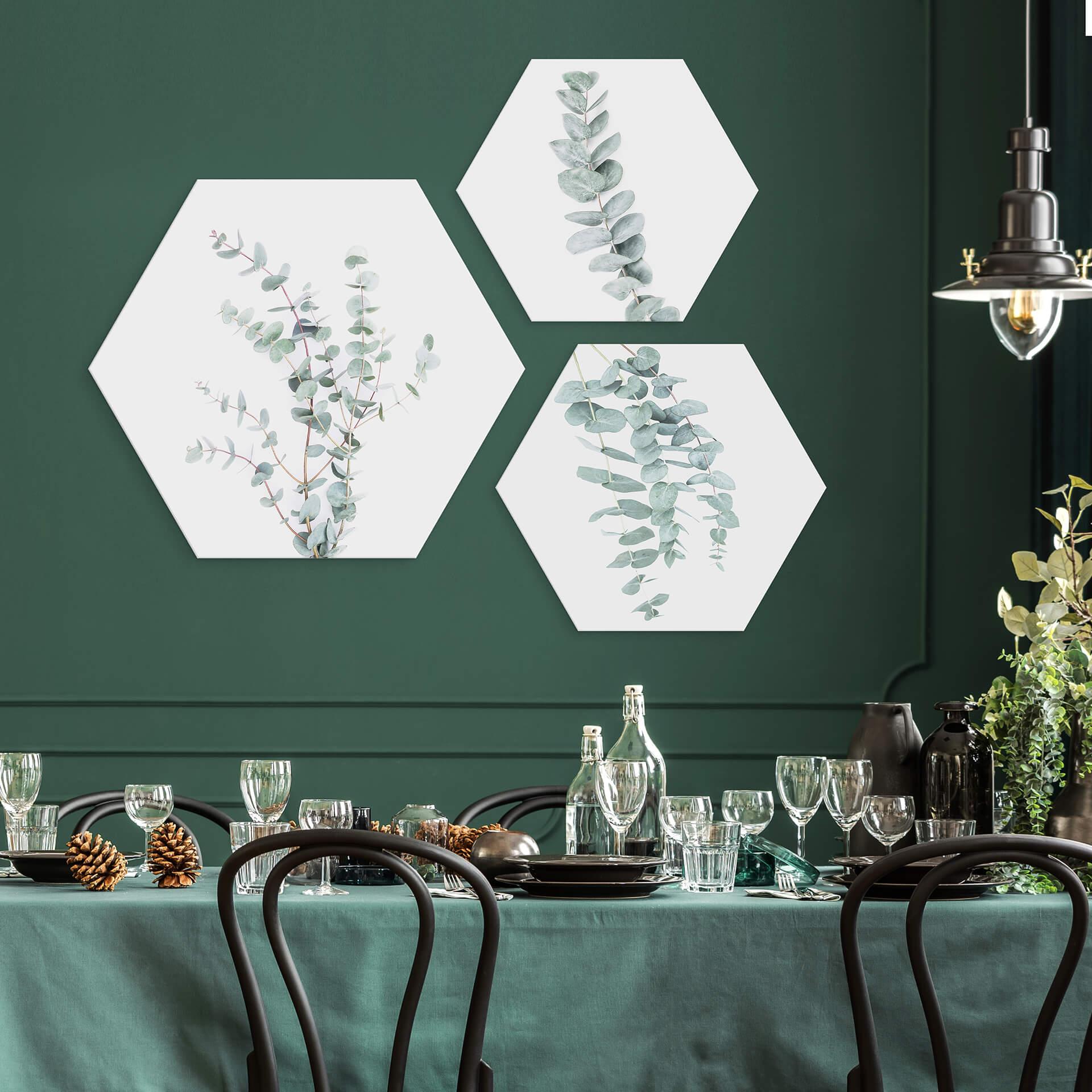 Hexagon - Alu-Dibond - Sisi & Seb - Eukalyptus: flere grene