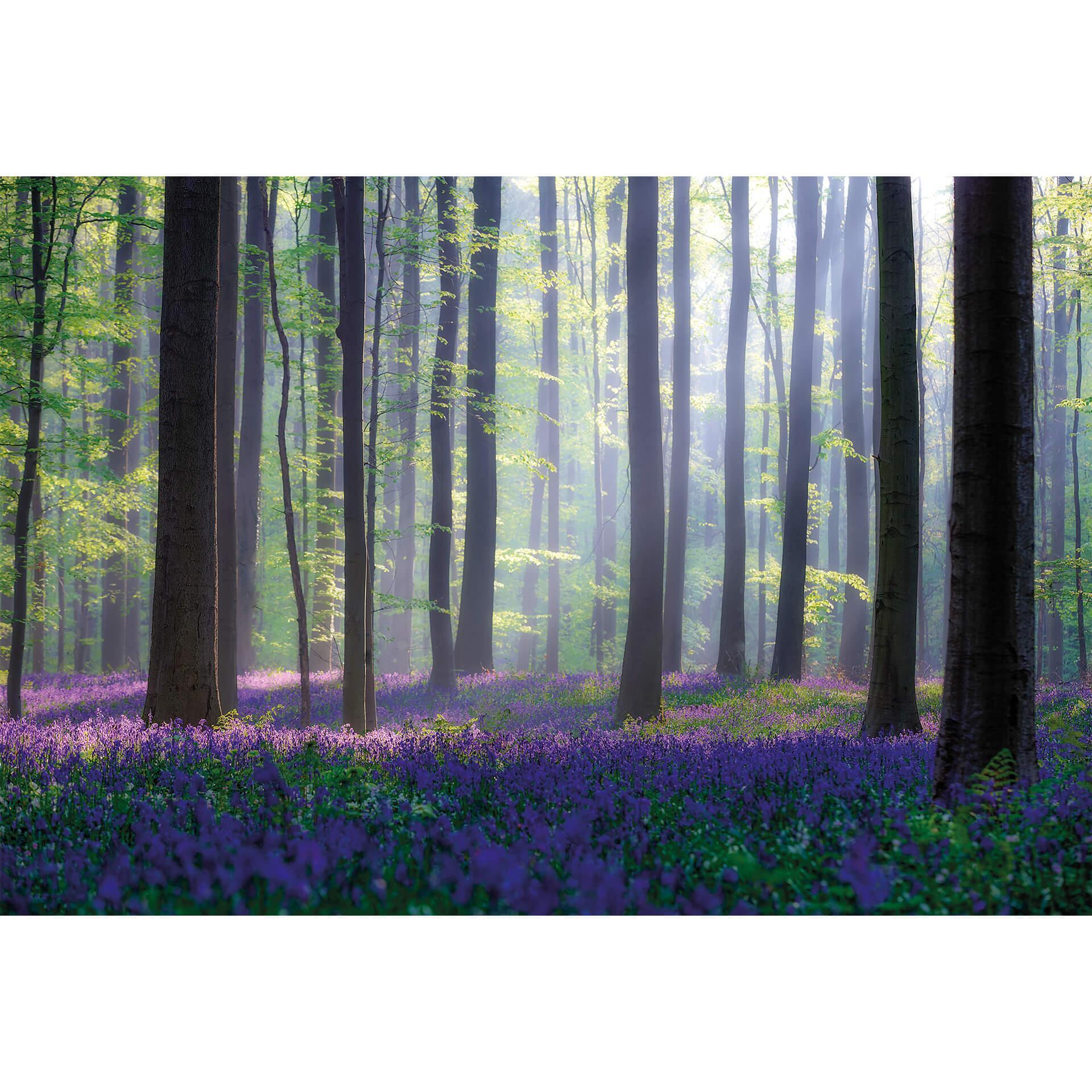 Fotobehang Popan - Hyacinthen