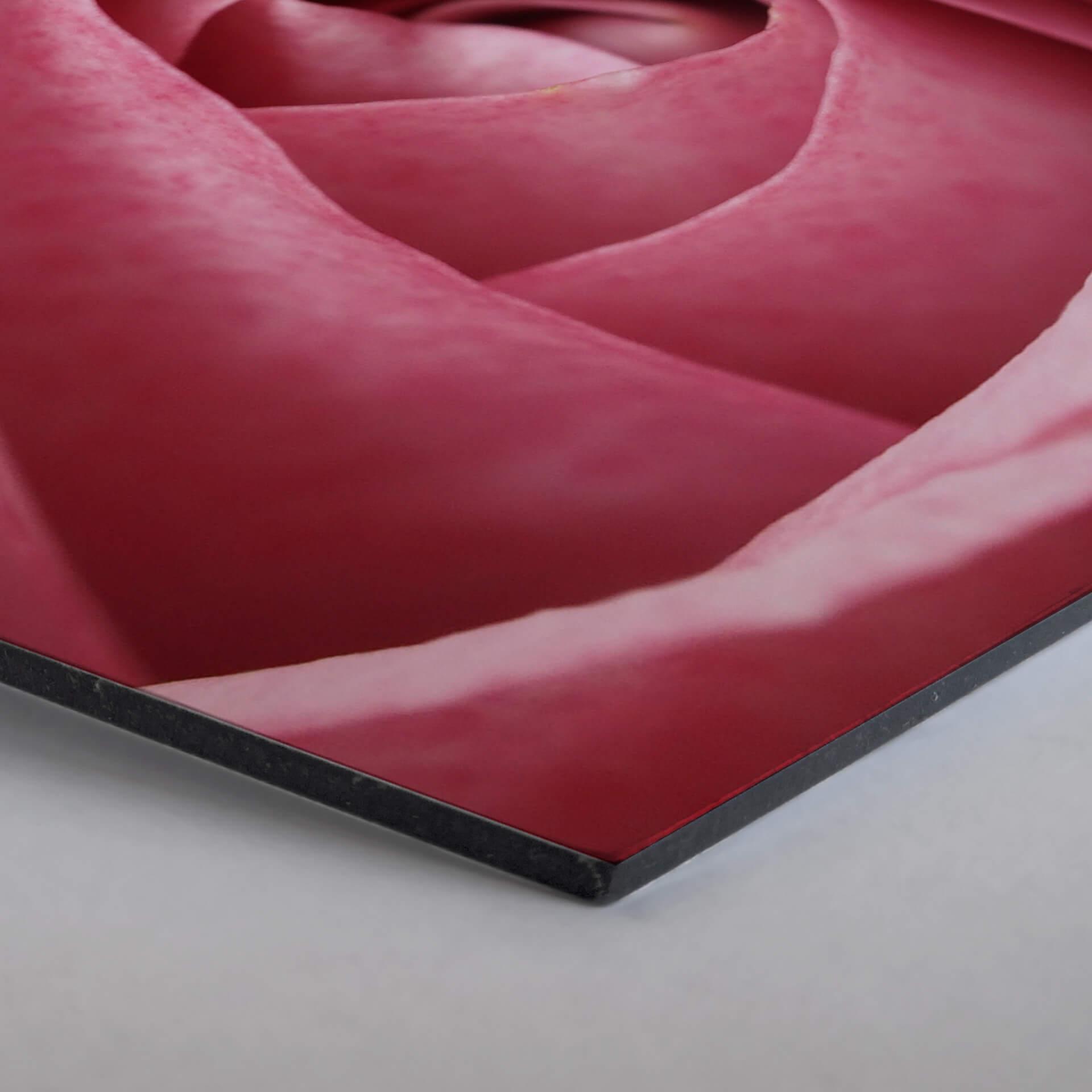 Hexagon - Alu-Dibond - Pink Rose