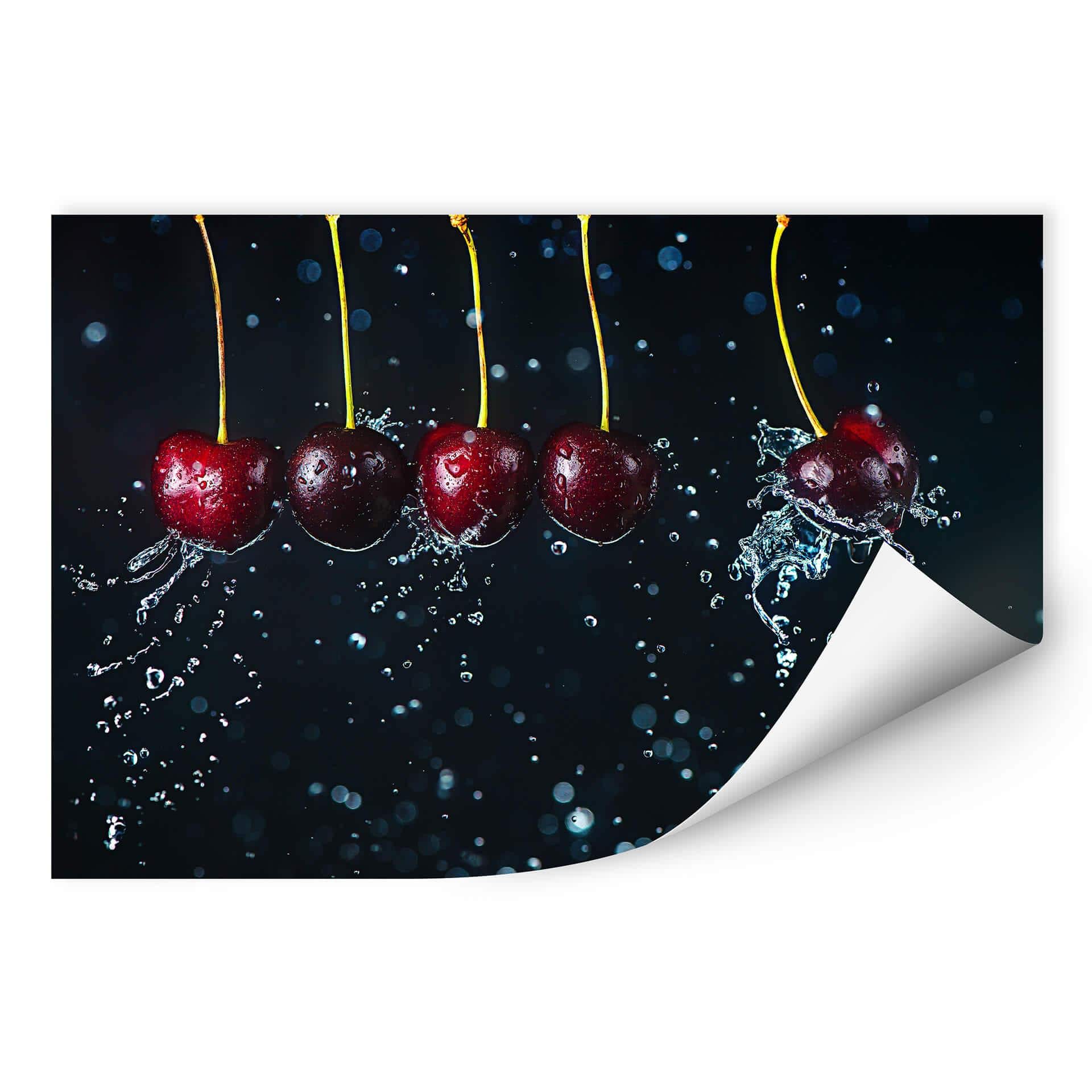 Wallprint Belenko - Newtons Cradle