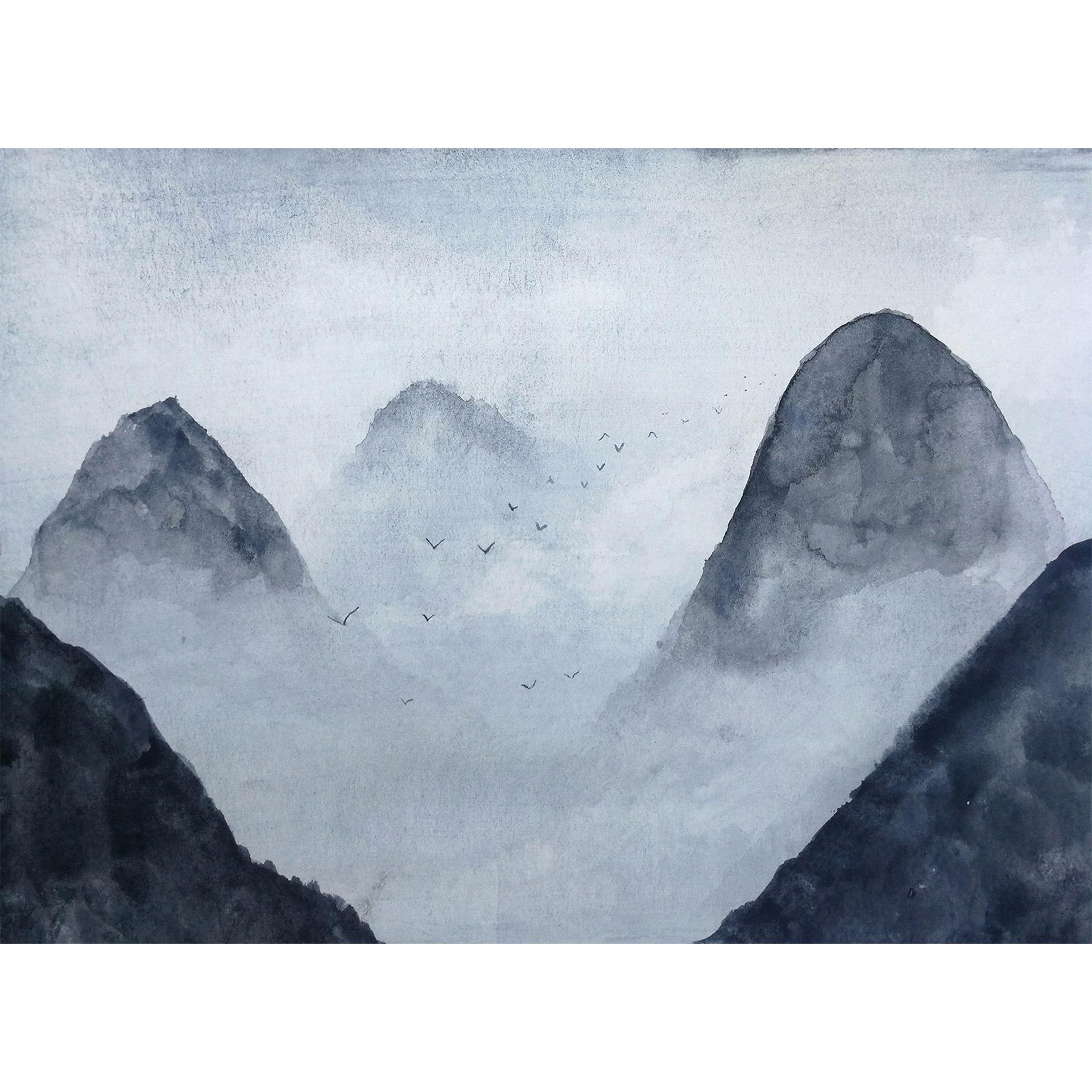 non-woven tapet Misty Rocks fugle natur fototapet Designwalls i grå og hvid