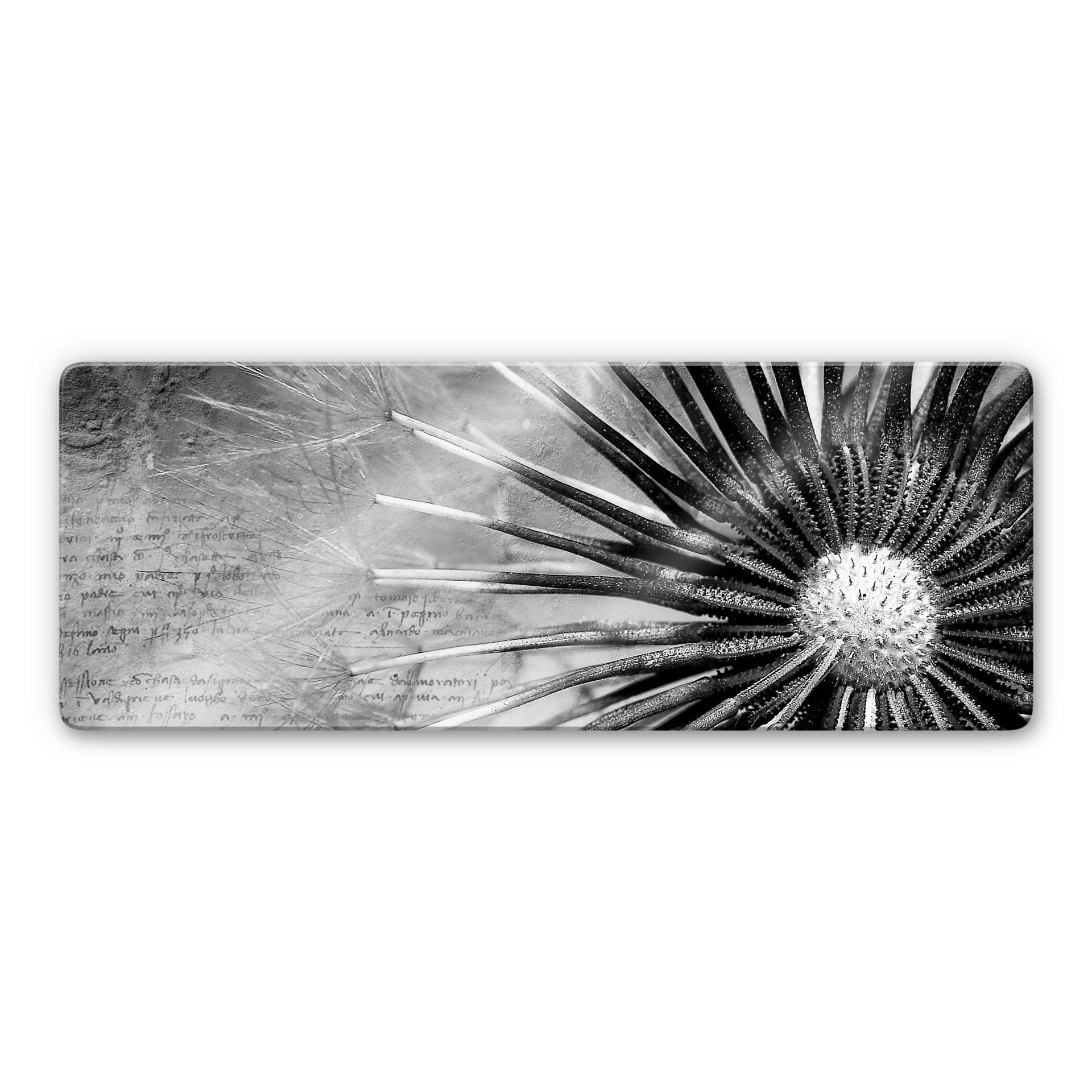 Glasschilderijen Paardebloemen Poezie - Panorama