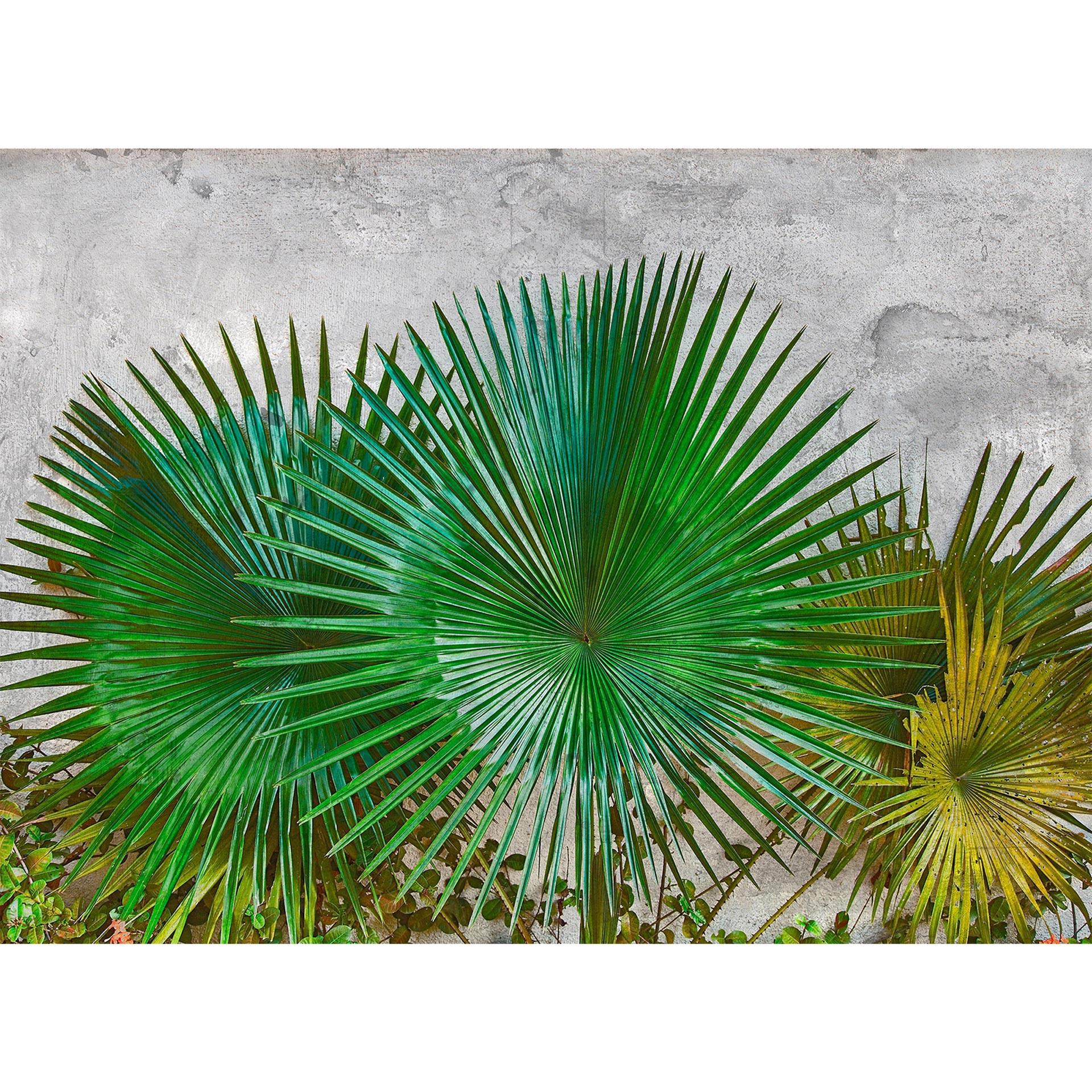 Architects Paper Fotobehang Atelier 47 Agaves Leaves