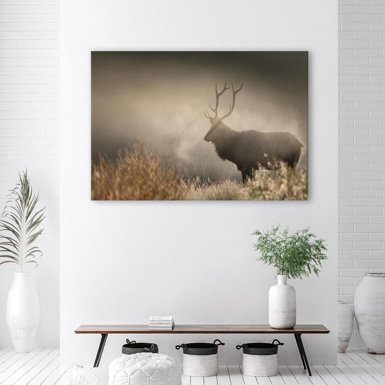 Canvasbillede, Hjort i tågen natur