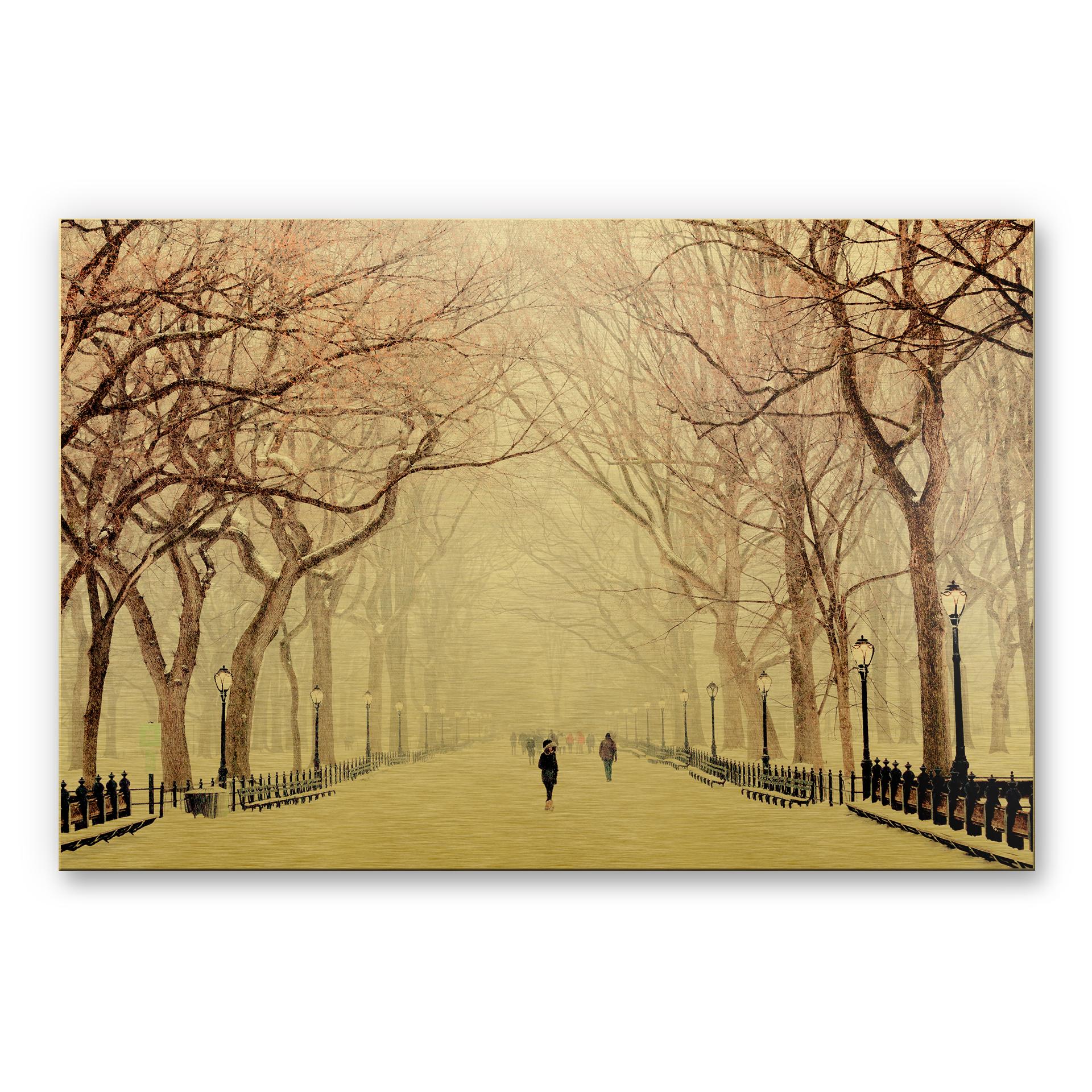 Alu-Dibond-Goldeffekt - Winter im Central Park