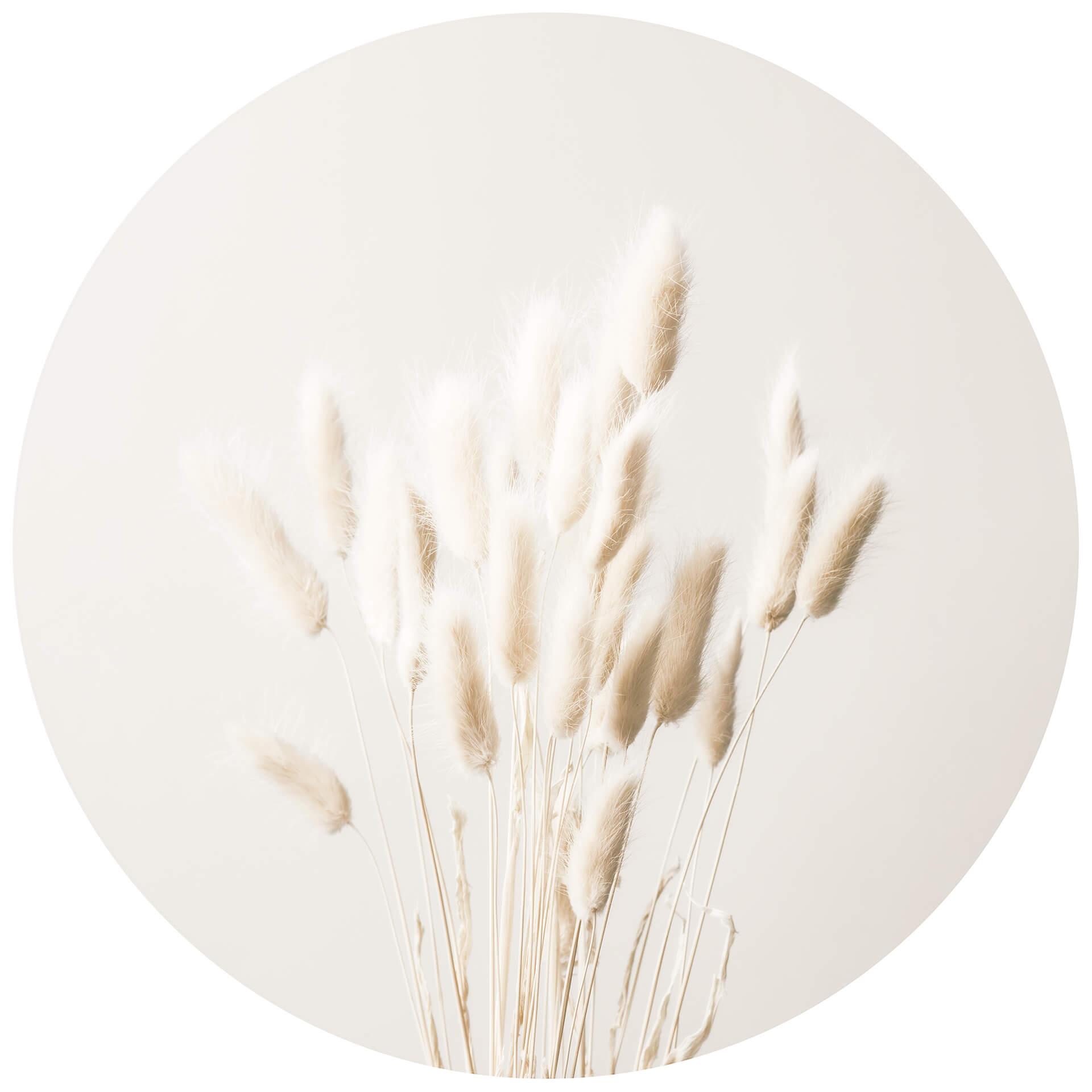 Behangcirkel 1X Studio - Dried Grass - vliesbehang/zelfklevend vliesbehang