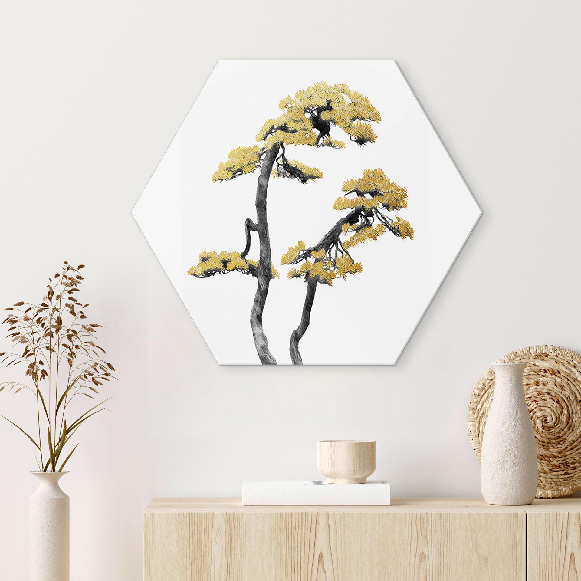 Hexagon Dibond Amini - Bonsai