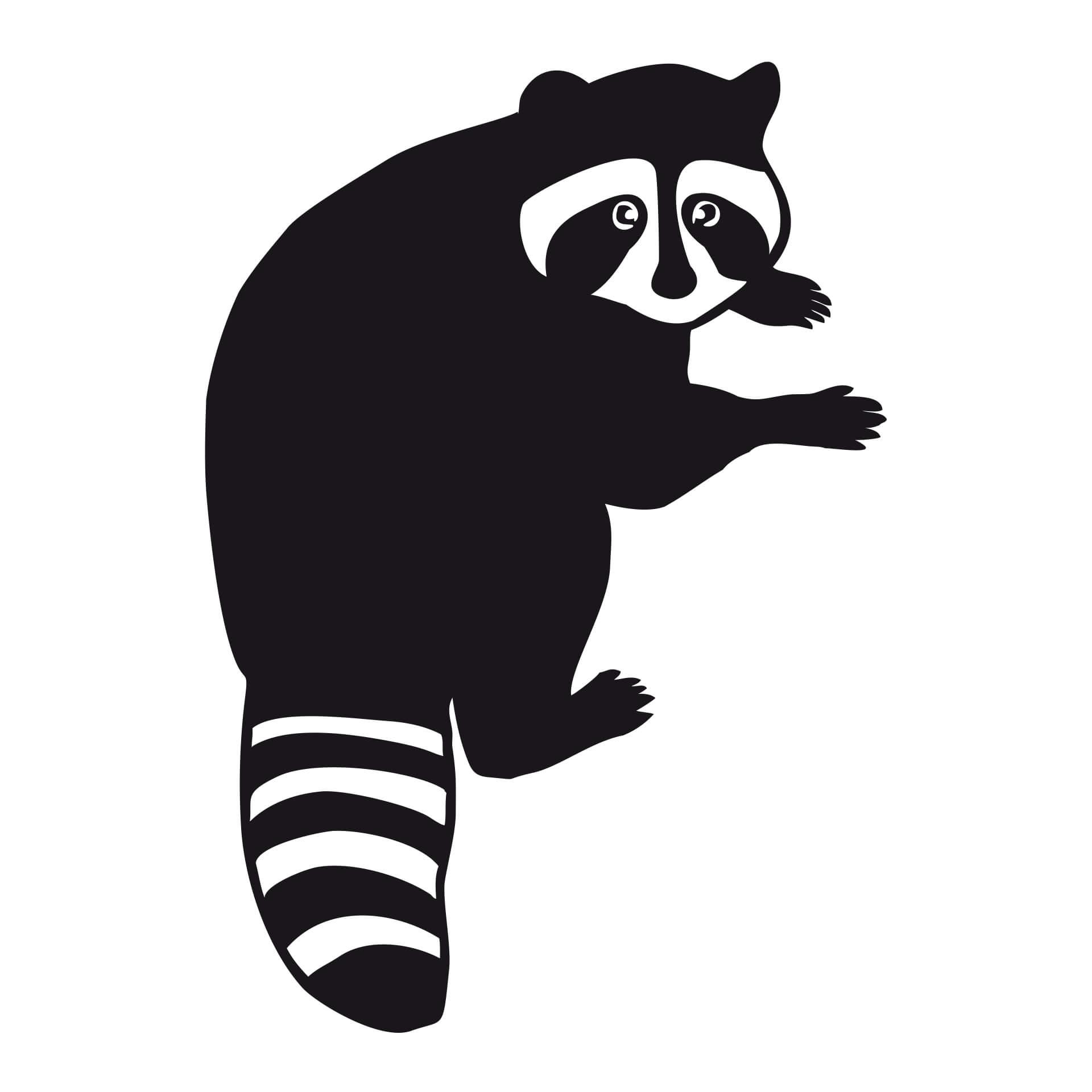 Wandtattoo Waschbär 02