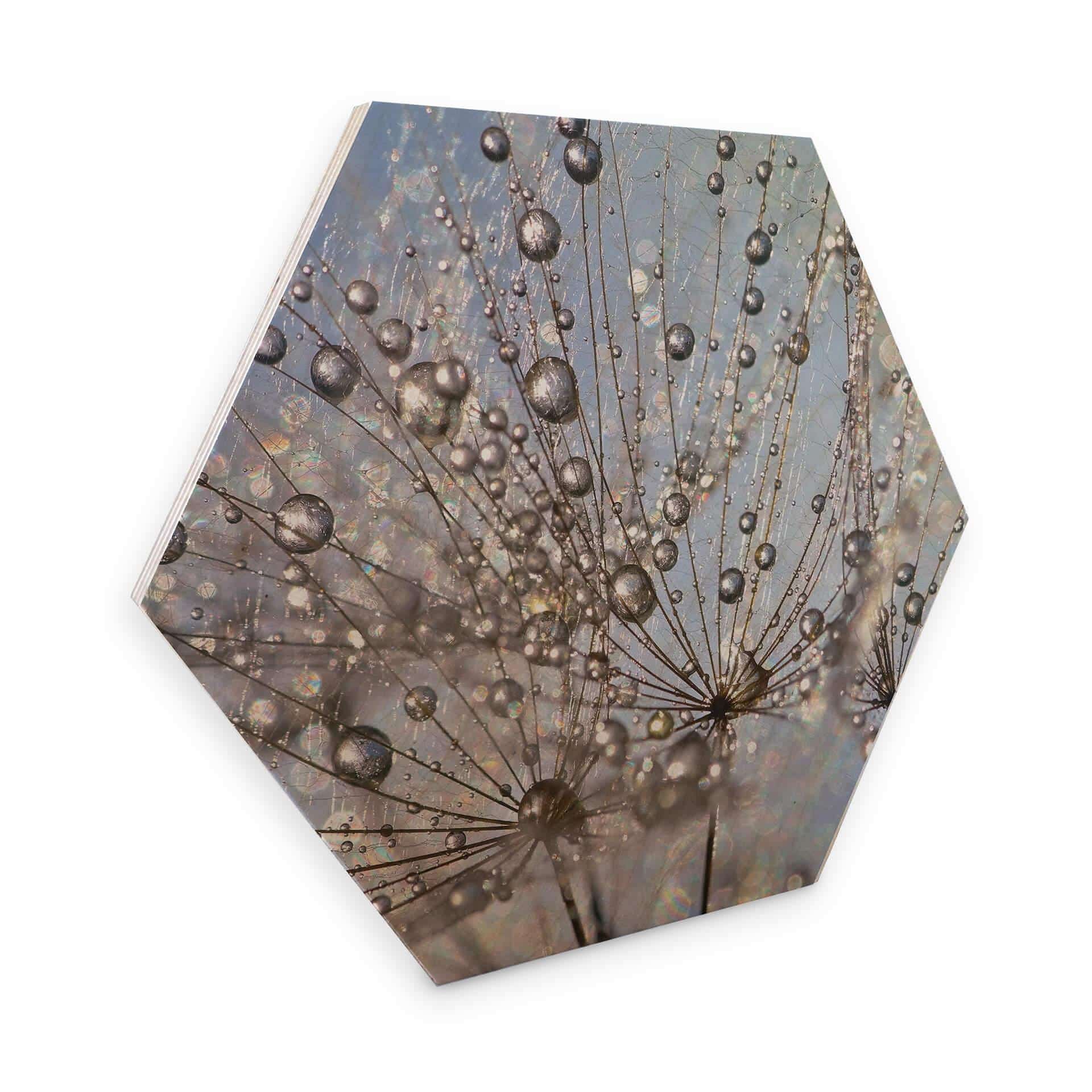 Hexagon Berkenfineer Delgado - Waterdrop Dandelion