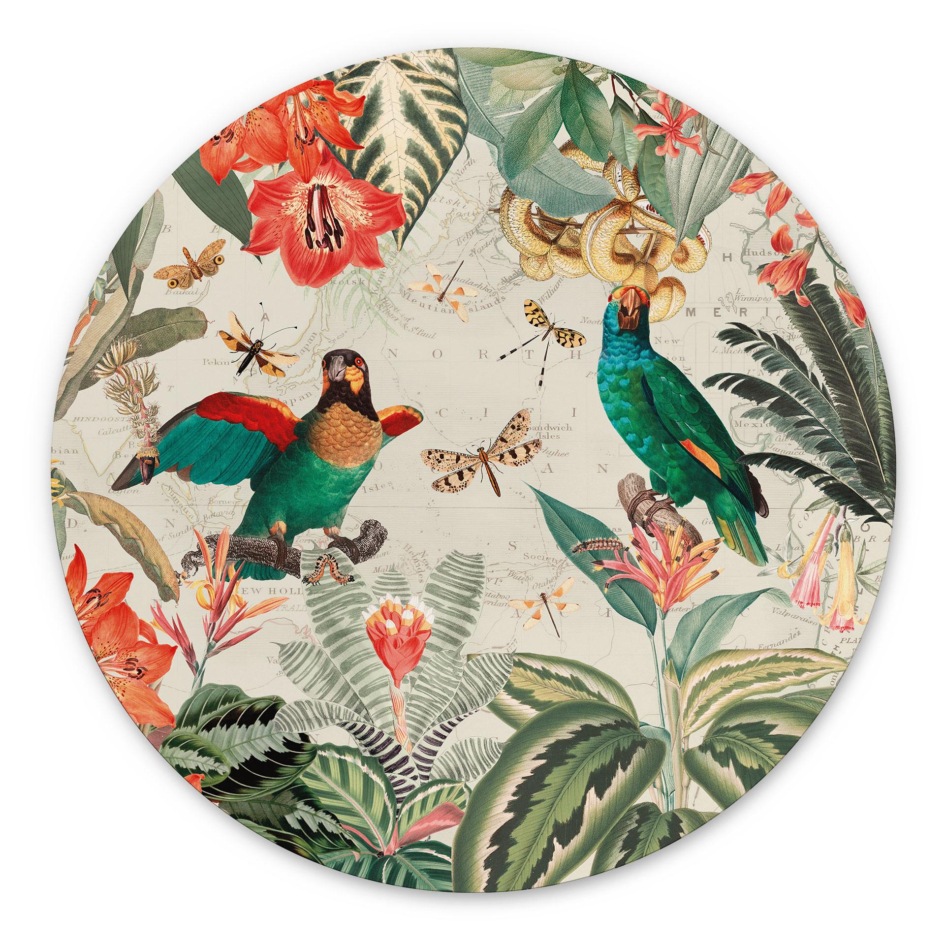 Vægcirkel Eksotisk jungle med papegøjer - UN Designs – print på aluminium (Alu-Dibond)