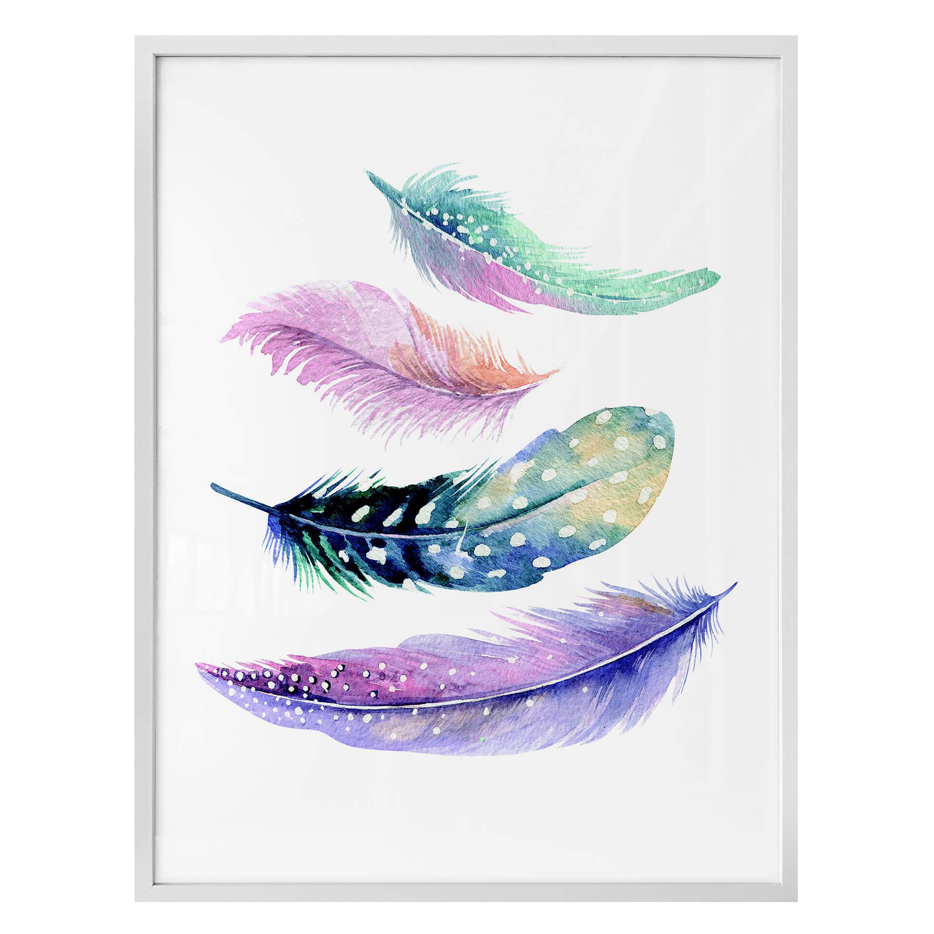 Póster plumas 02