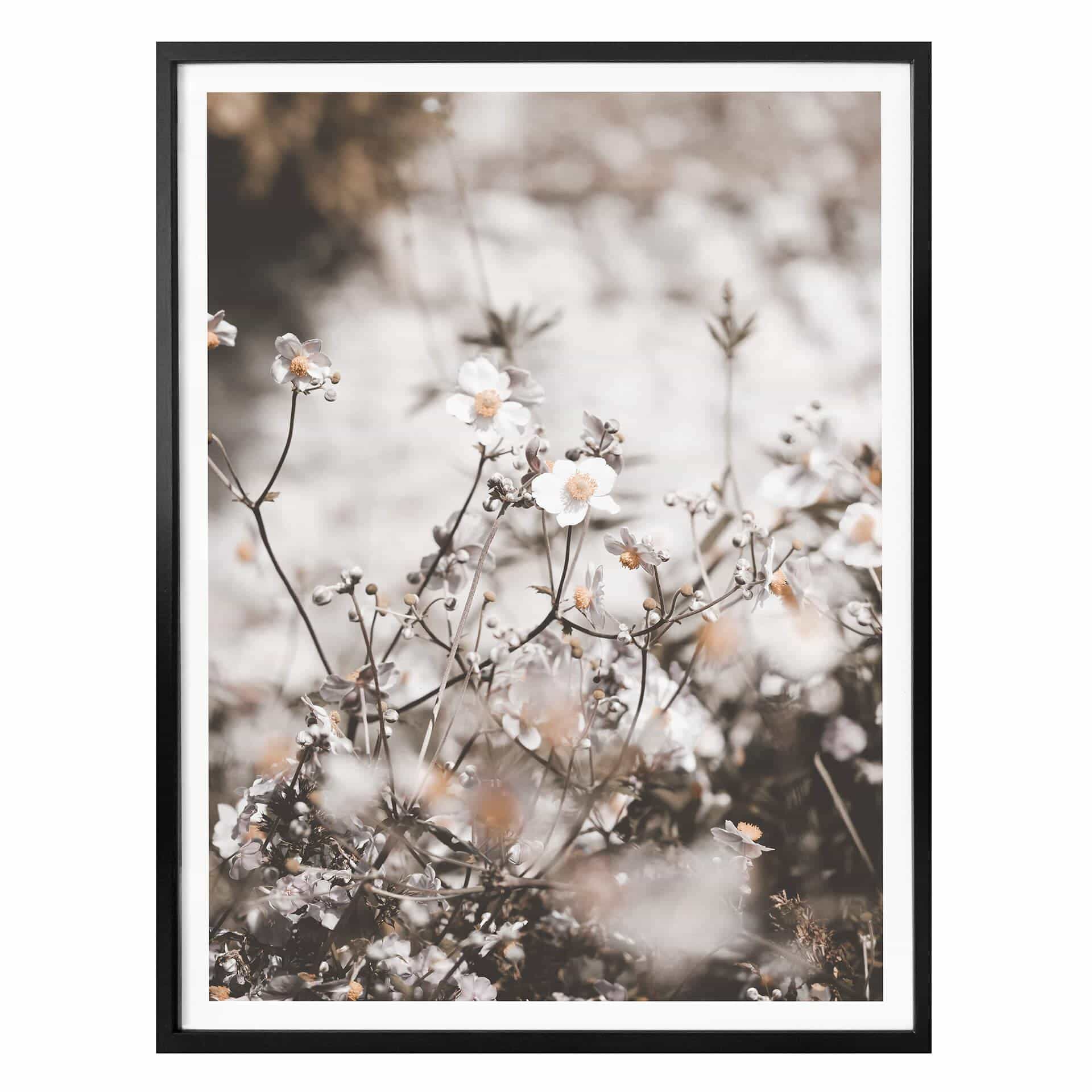 Plakat - Annie - Wild Flower