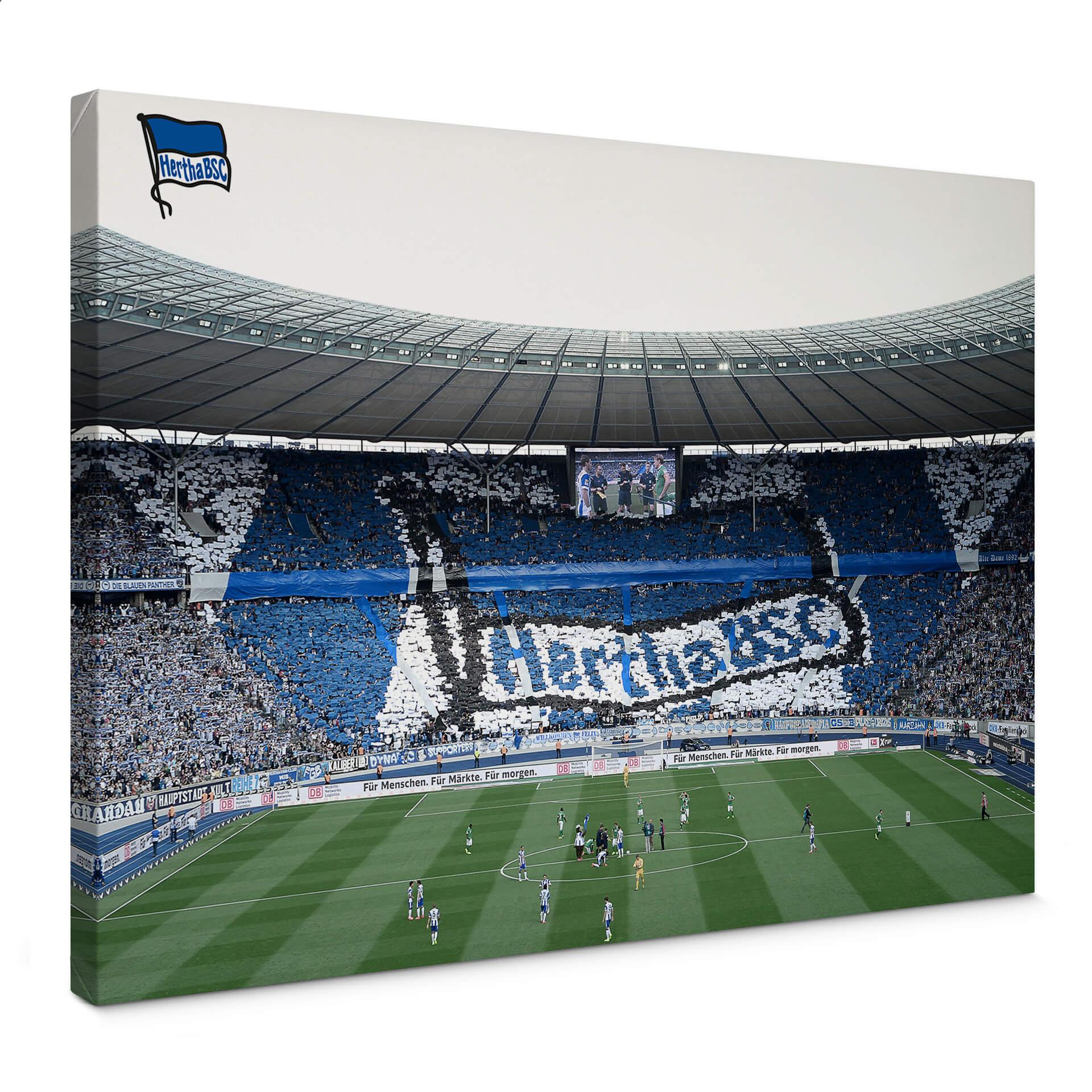 Lienzo Hertha BSC - Inicio del partido en el estadio