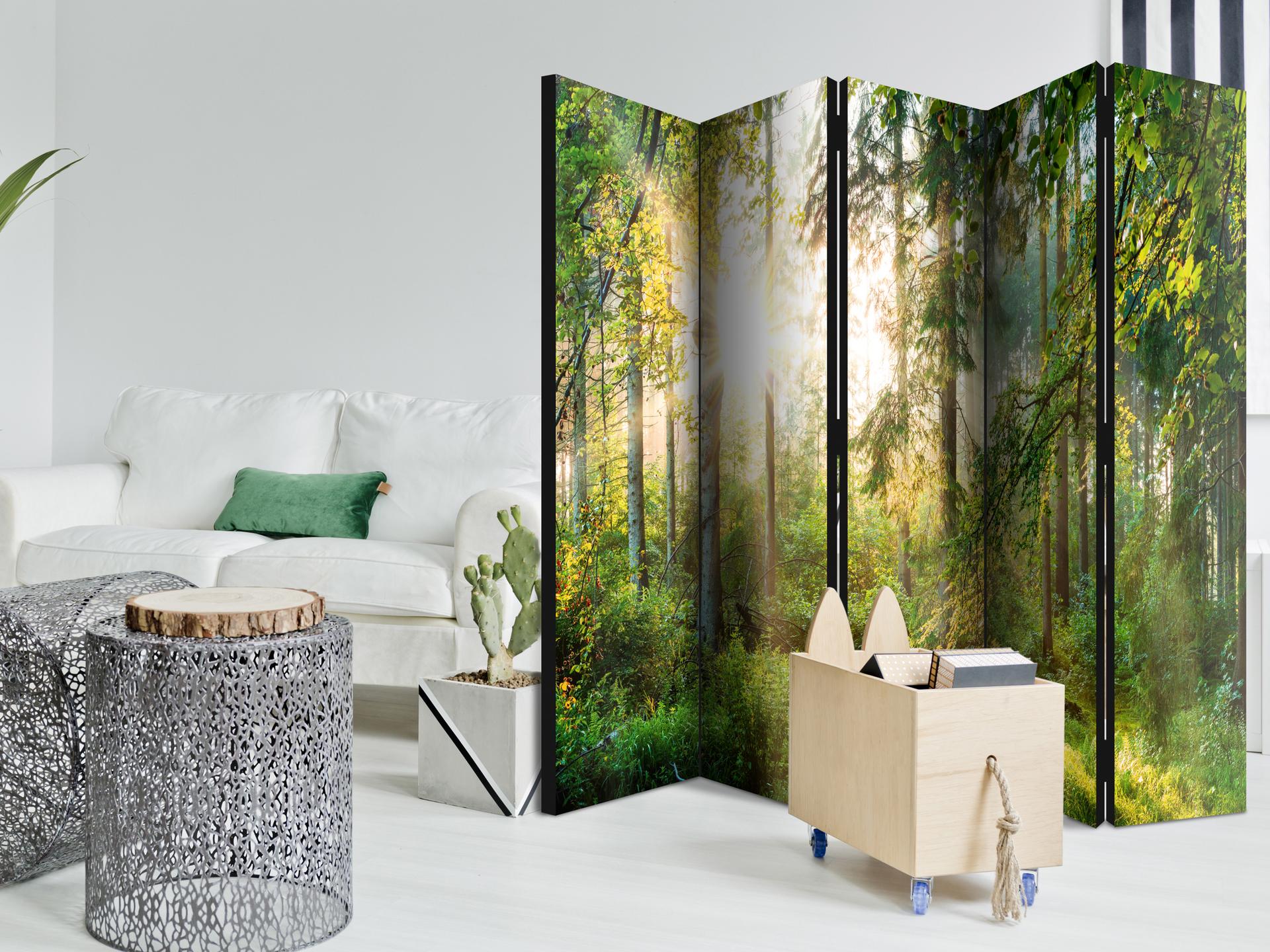 Divisorio - Avventura disinibita, 5 pezzi - 225x172 cm