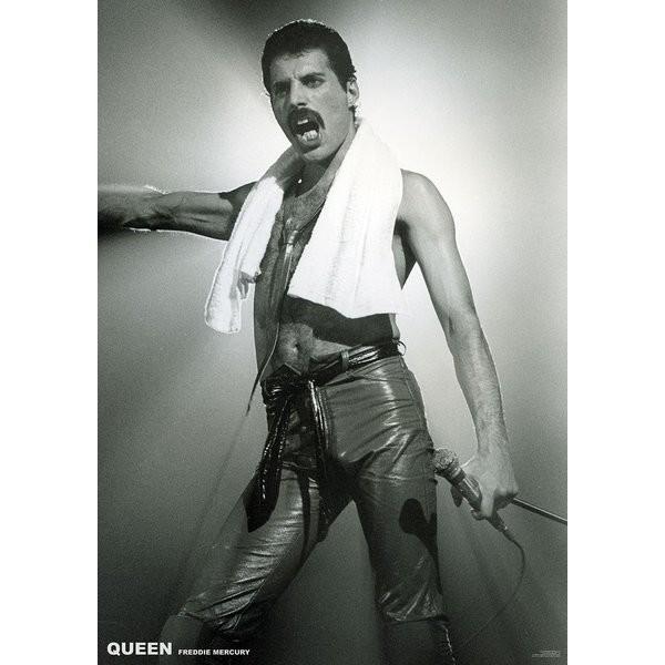 Plakat Queen (Freddie Mercury) - Live On Stage, Plakat (59,4 x 84 cm)