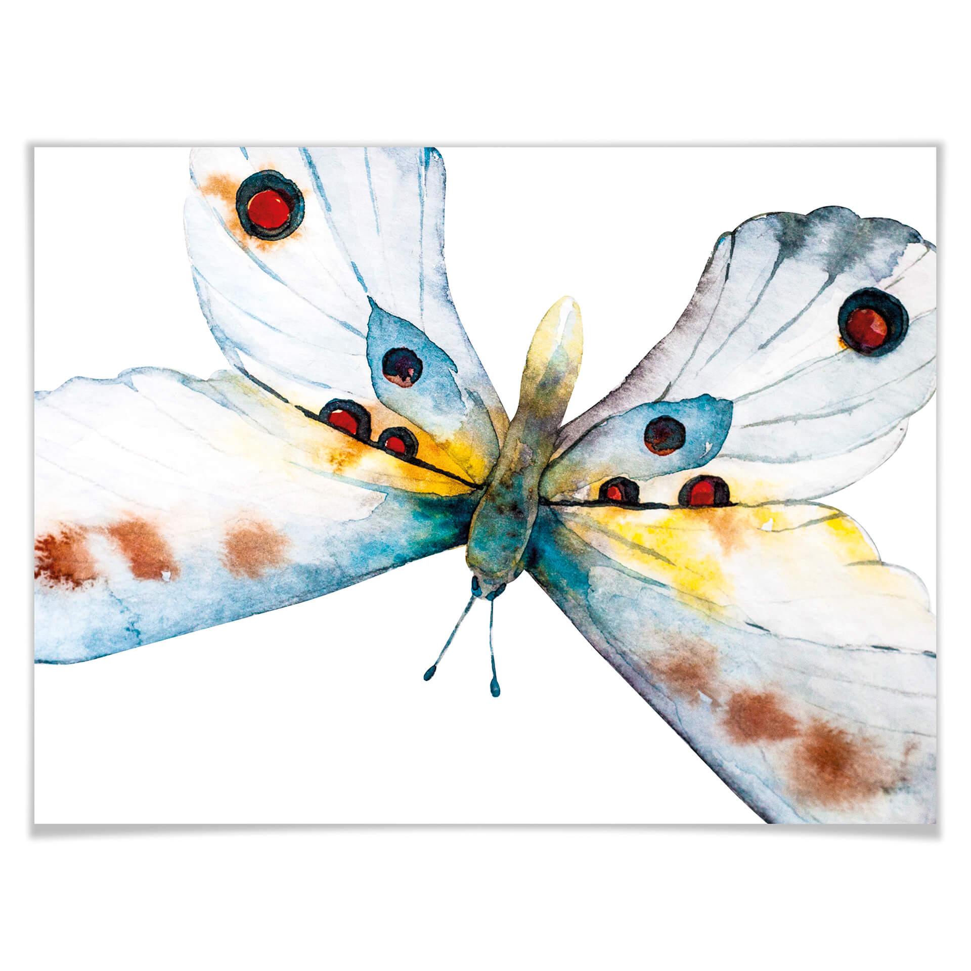 Poster Kvilis - Schmetterling 05