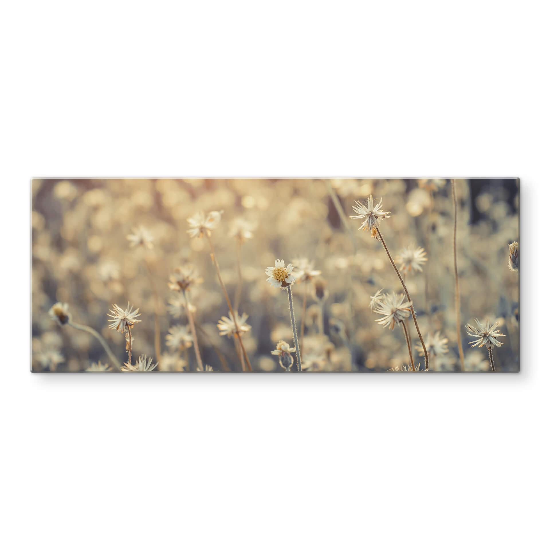 Stænkplade - Mexican Daisy - Panorama