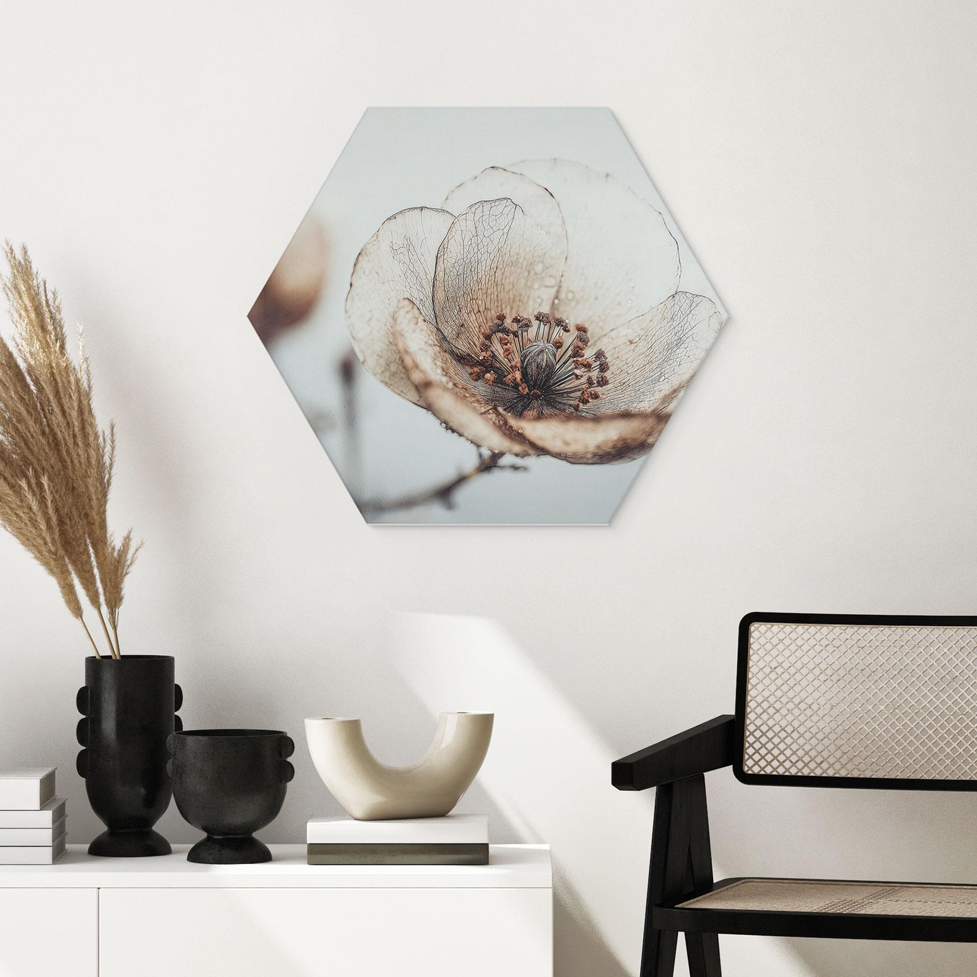 Sekskantet Billede af tørrede blomster i beige naturpoesi - Treechild - Aluminium Dibond