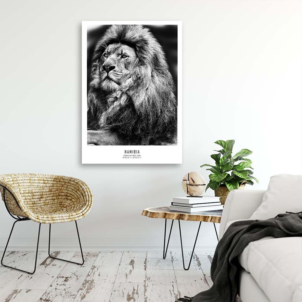 Canvasbillede, Løve afrikansk dyr