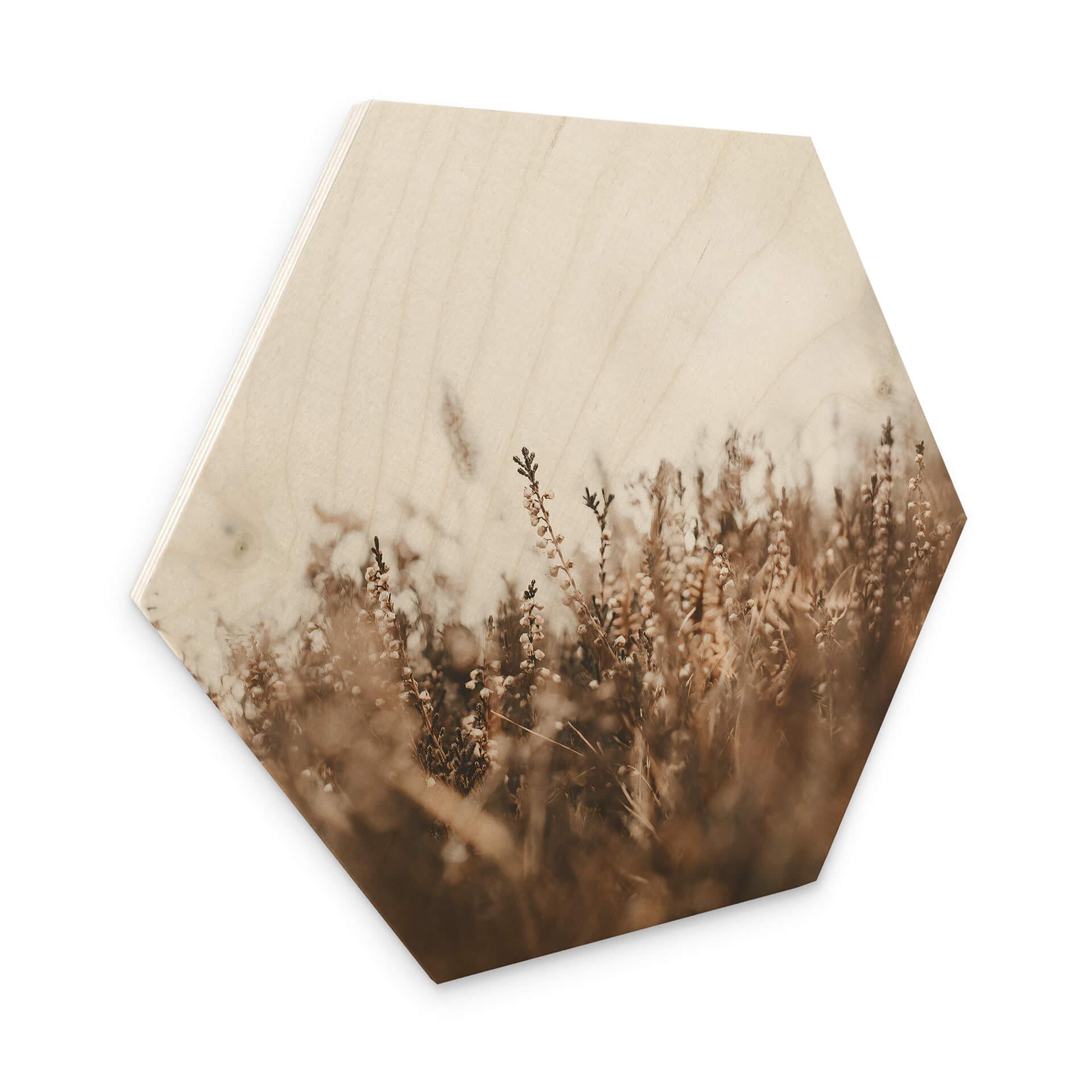 Hexagone - Bois Annie - Herbes des prés