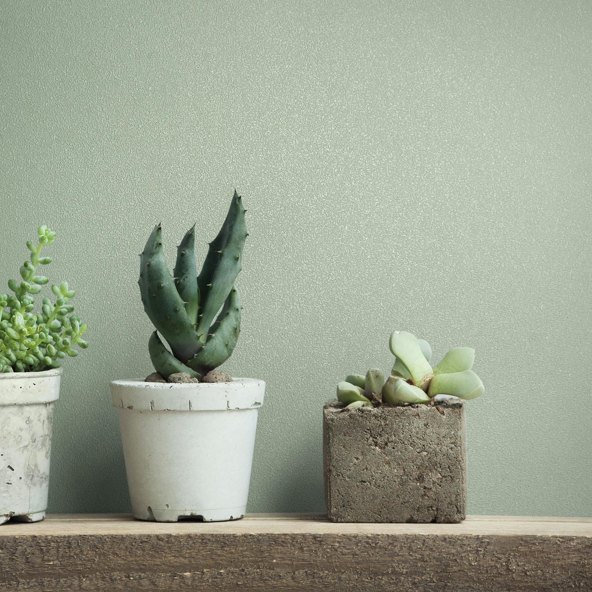 Vliesbehang structuur effen modern mat in groen