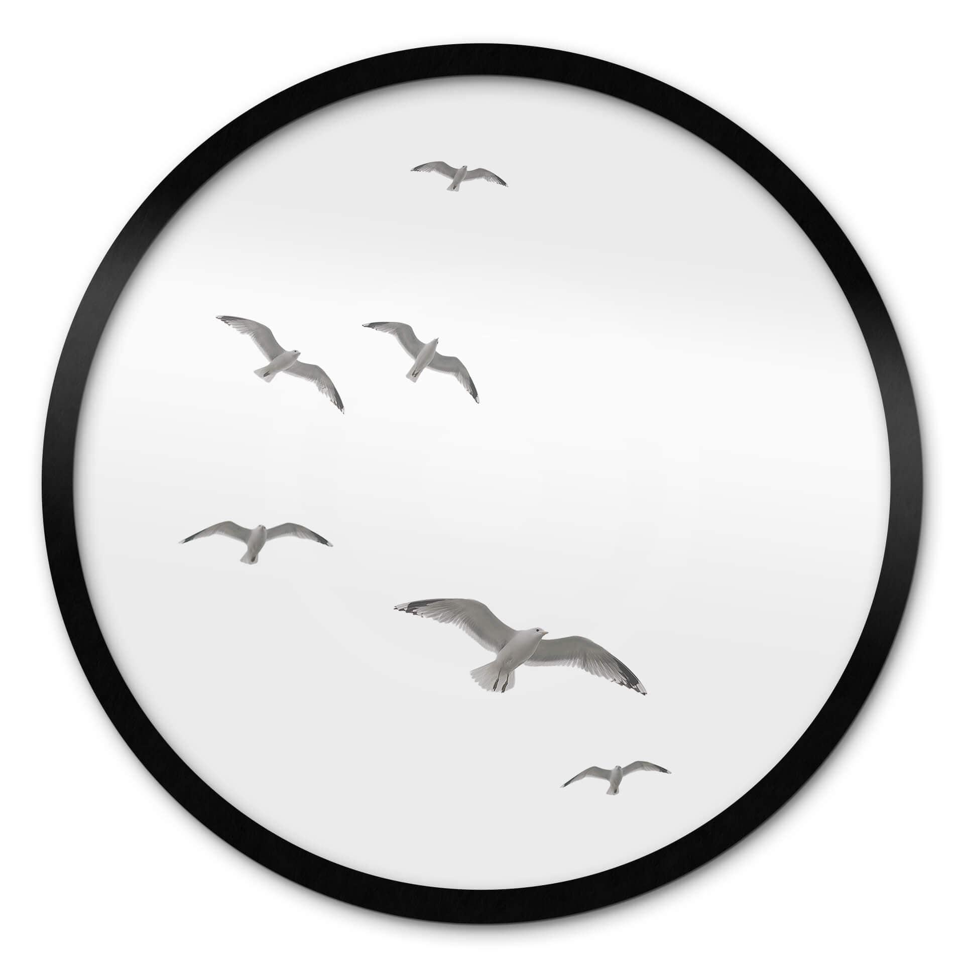 Poster Mouettes dans le ciel