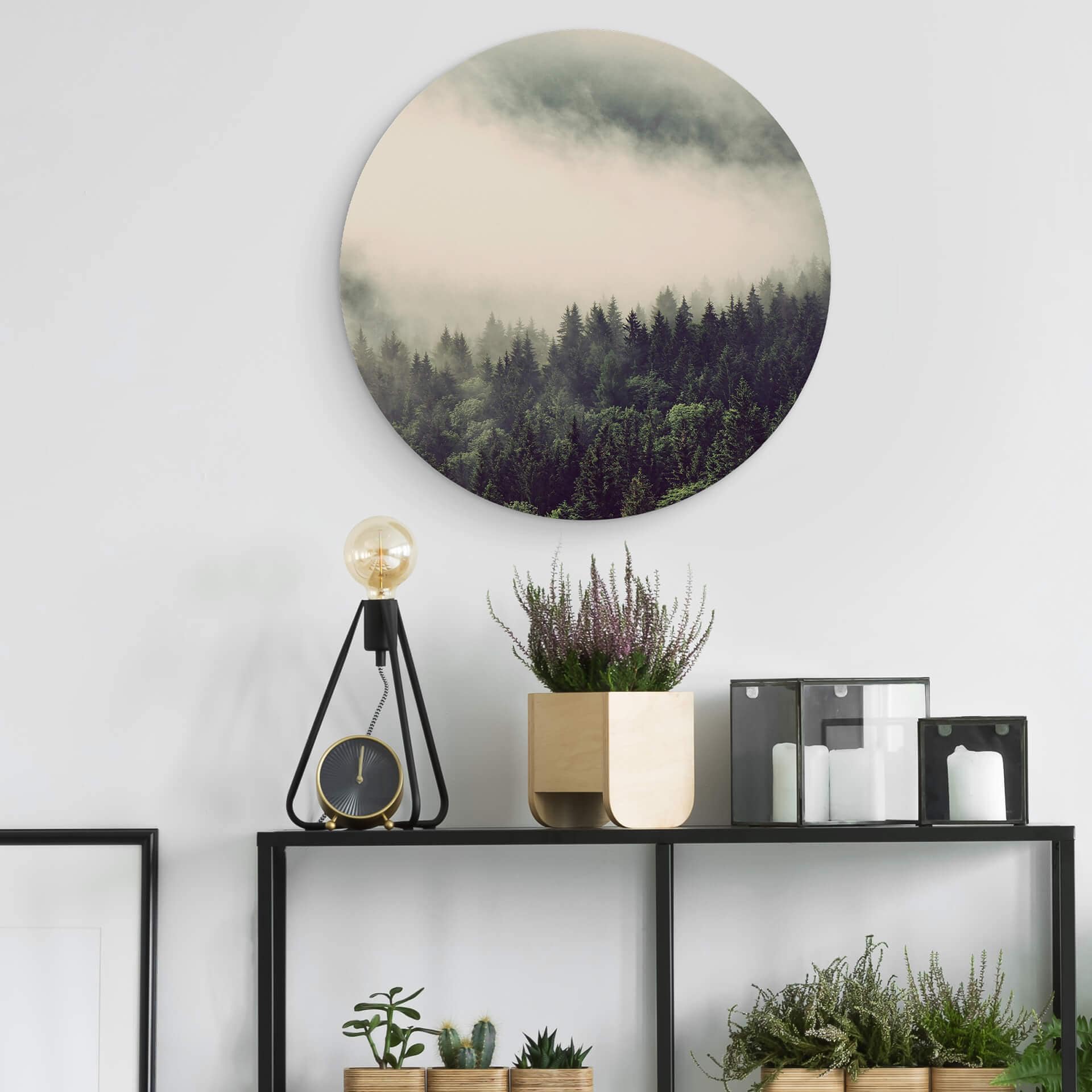 Alu-Dibond Nebbia - nella foresta 02