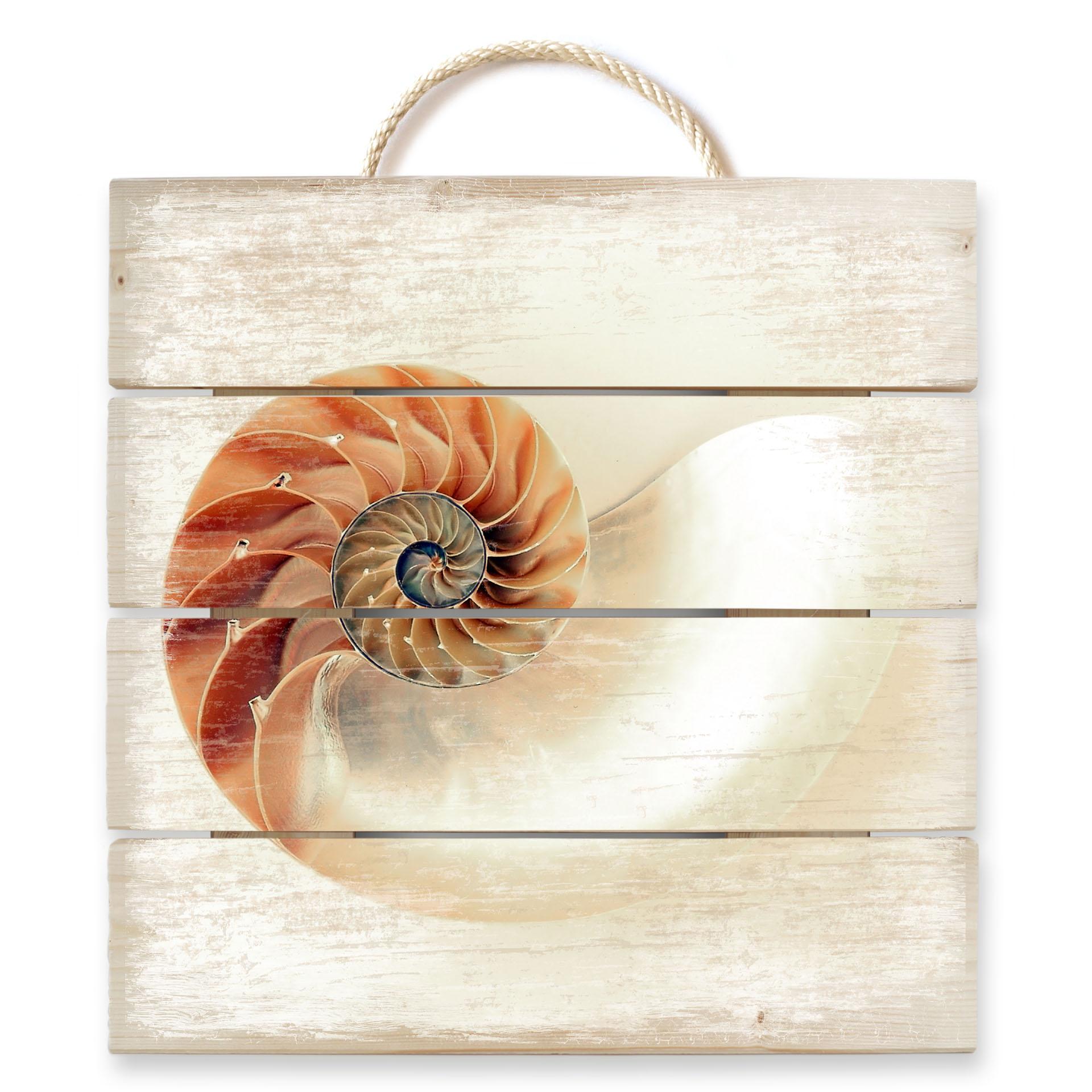 Cuadro de madera Nautilus - 40x41,5 cm