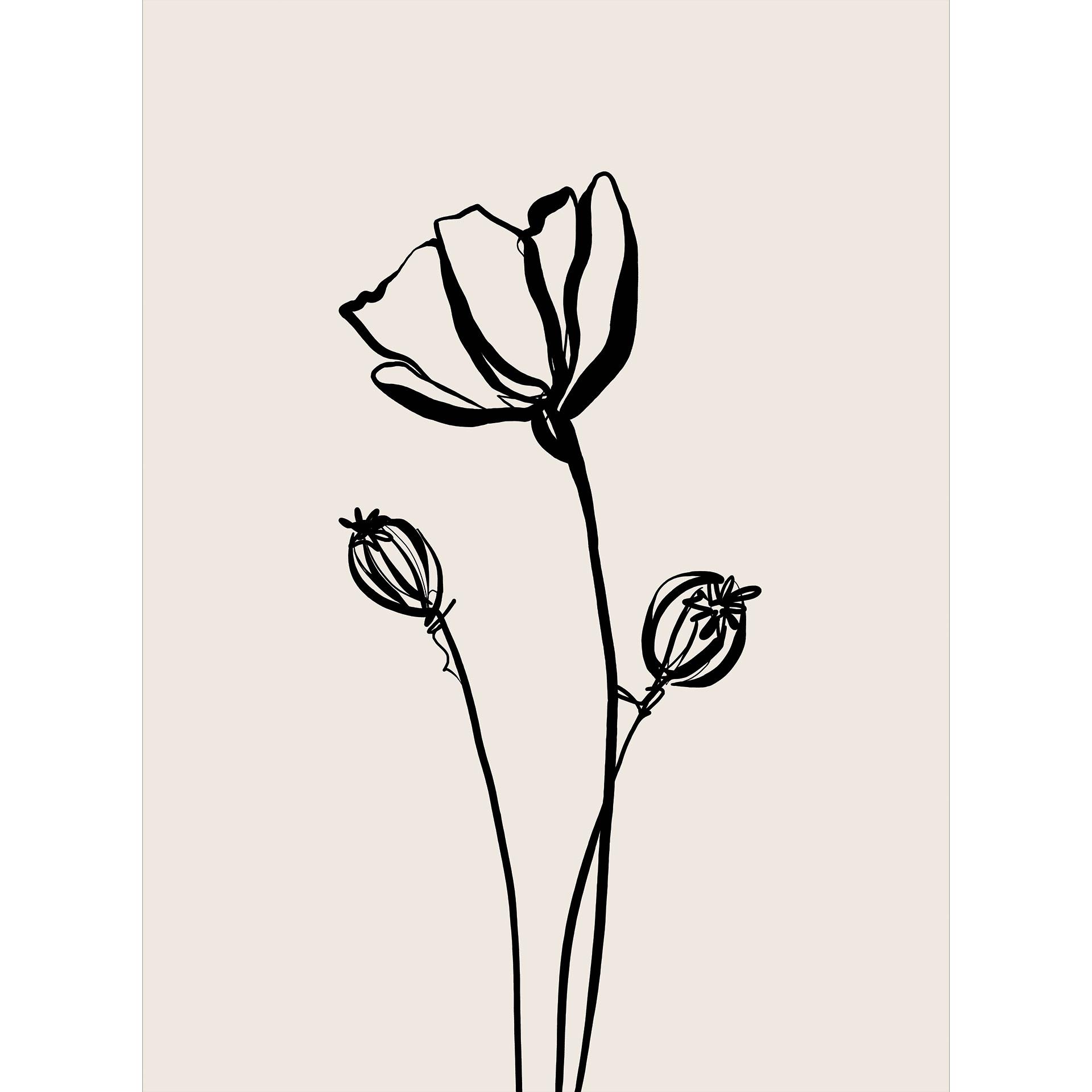 Bloemen Fotobehang Line Art Poppy - Cats & Dotz