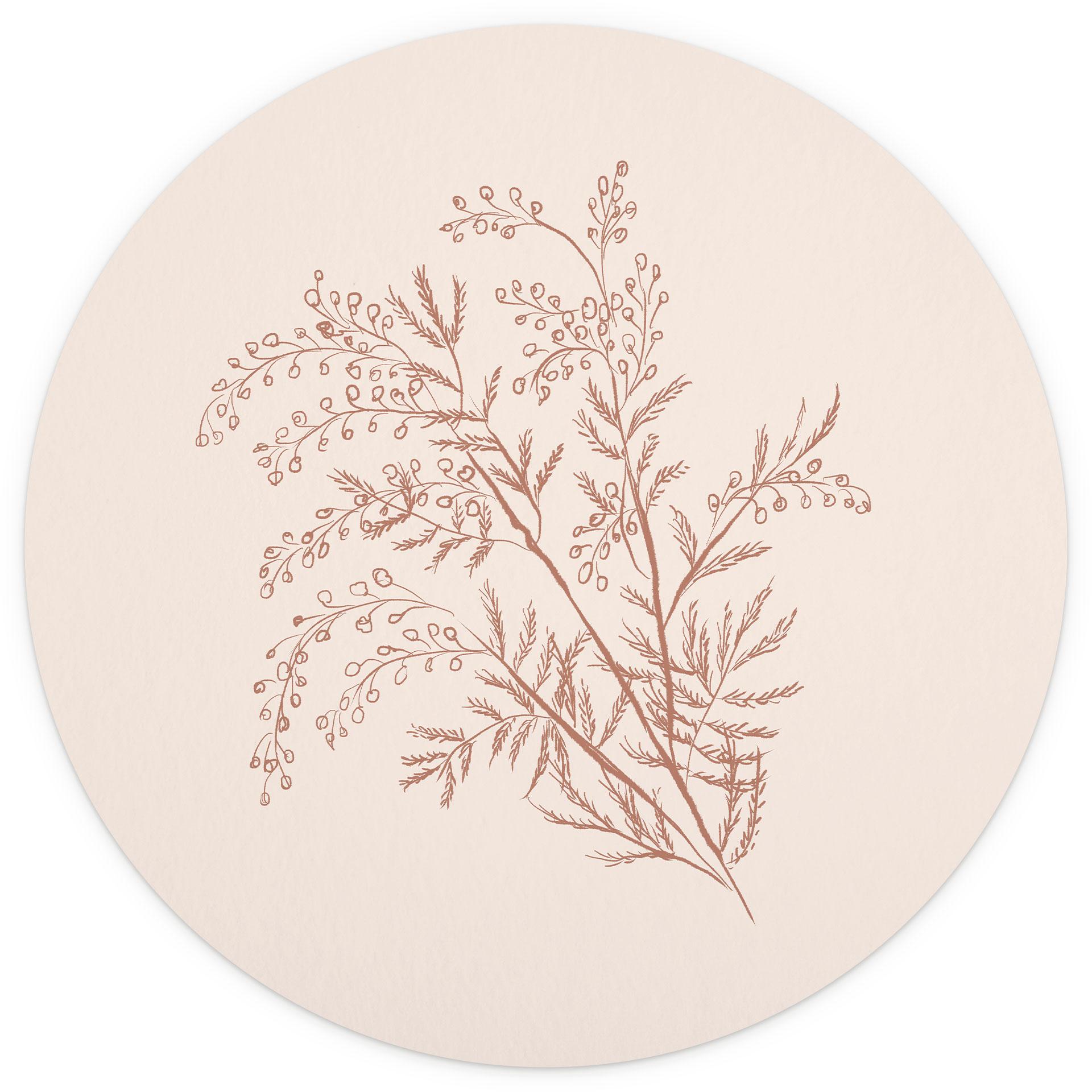 Tak van acacia in mokkakleur | Botanicals Fotobehang - anijs illustratie - rond - vliesbehang/zelfkl