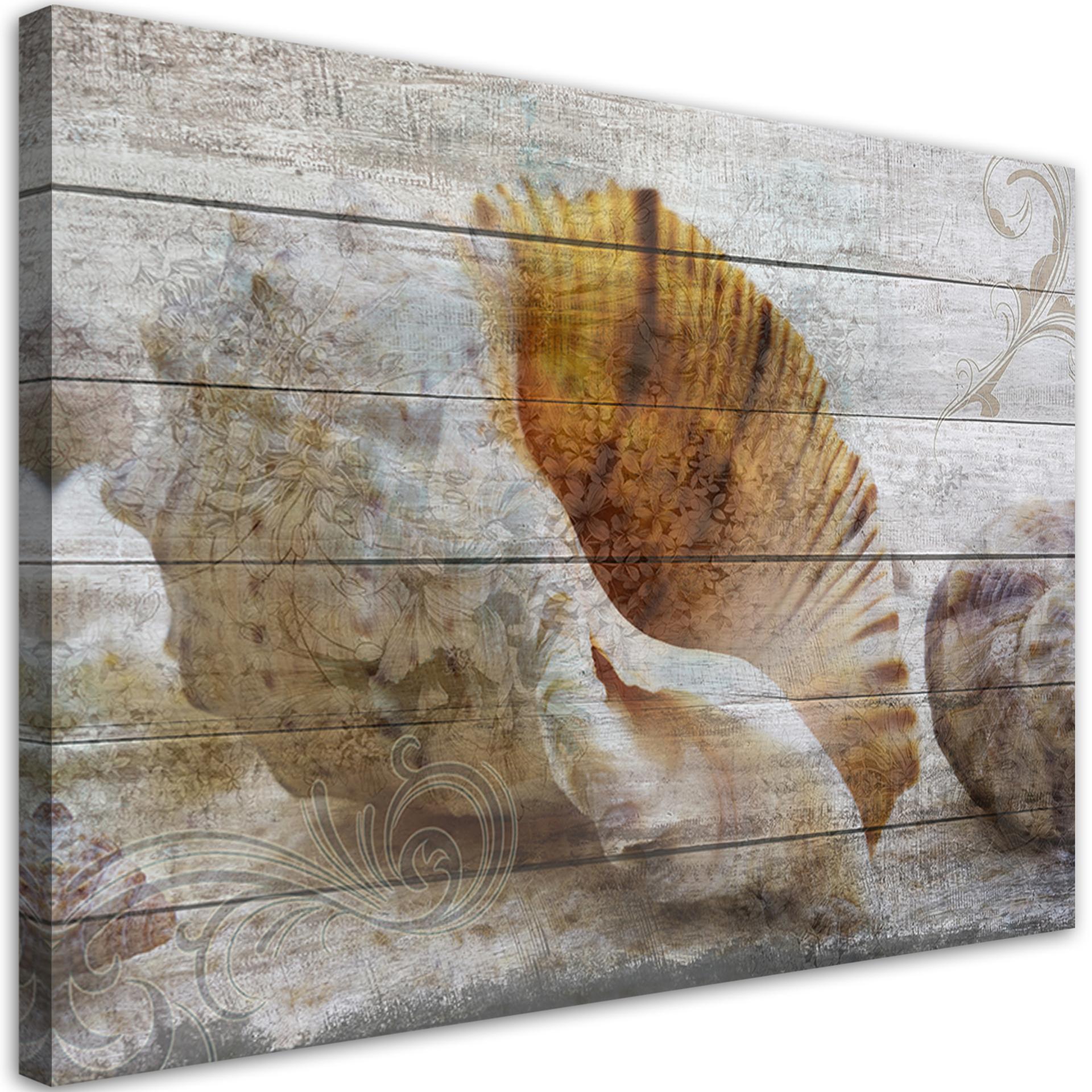 Canvasbillede, Skaller i vintagestil