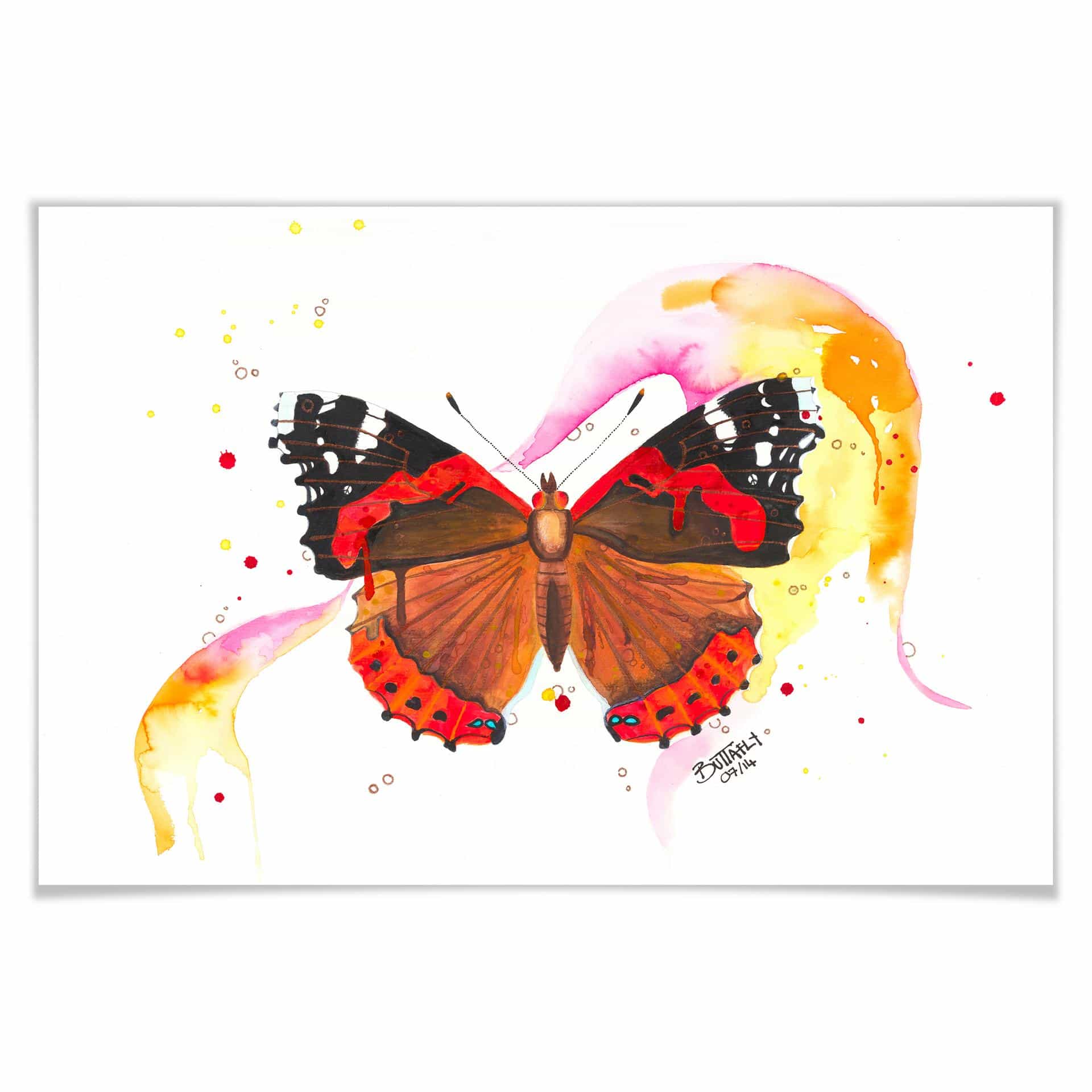 Poster - Buttafly - Vanessa Athalanta
